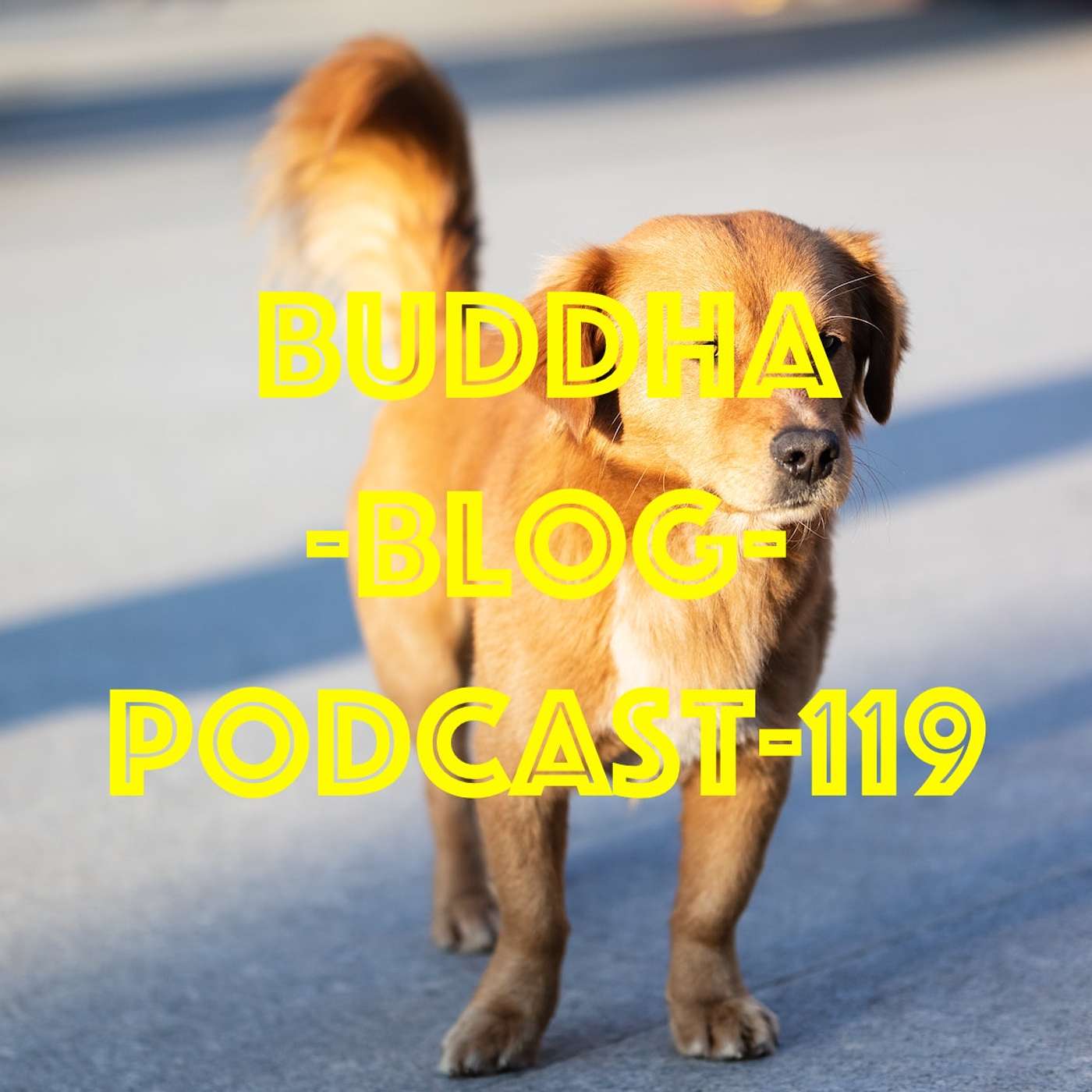 Buddha Blog - Buddhismus im Alltag
