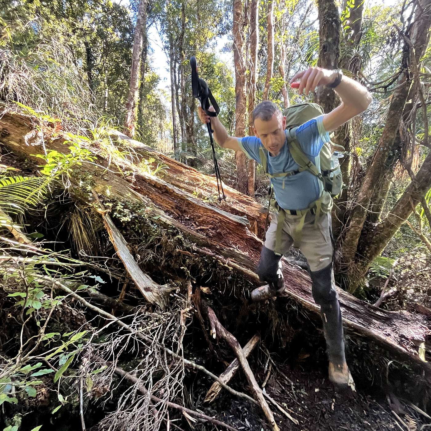 Alistair Hall - Wilderness Magazine & NZ's Worst Tramp Alistair Hall - Wilderness Magazine & NZ's Worst Tramp