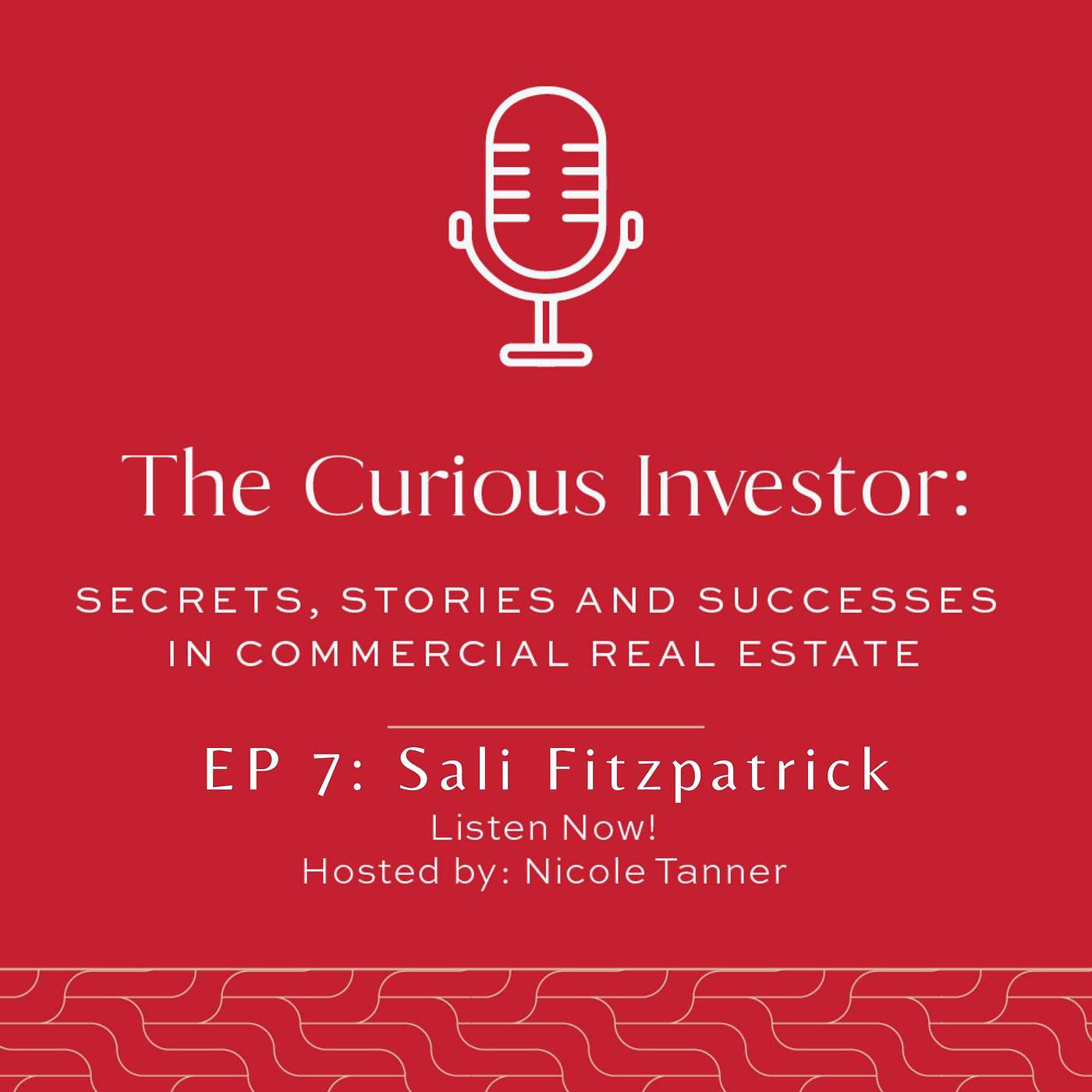 The Curious Investor