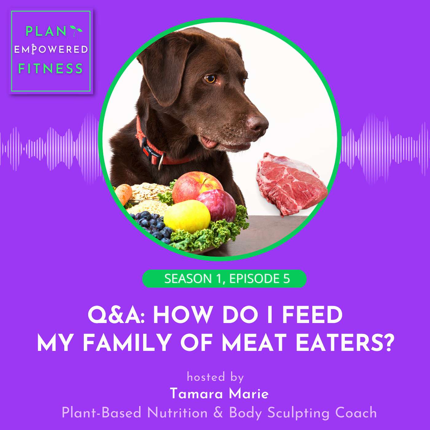 Q&A: How Do I Feed My Family of Meat Eaters? 🌱 Ep. 5