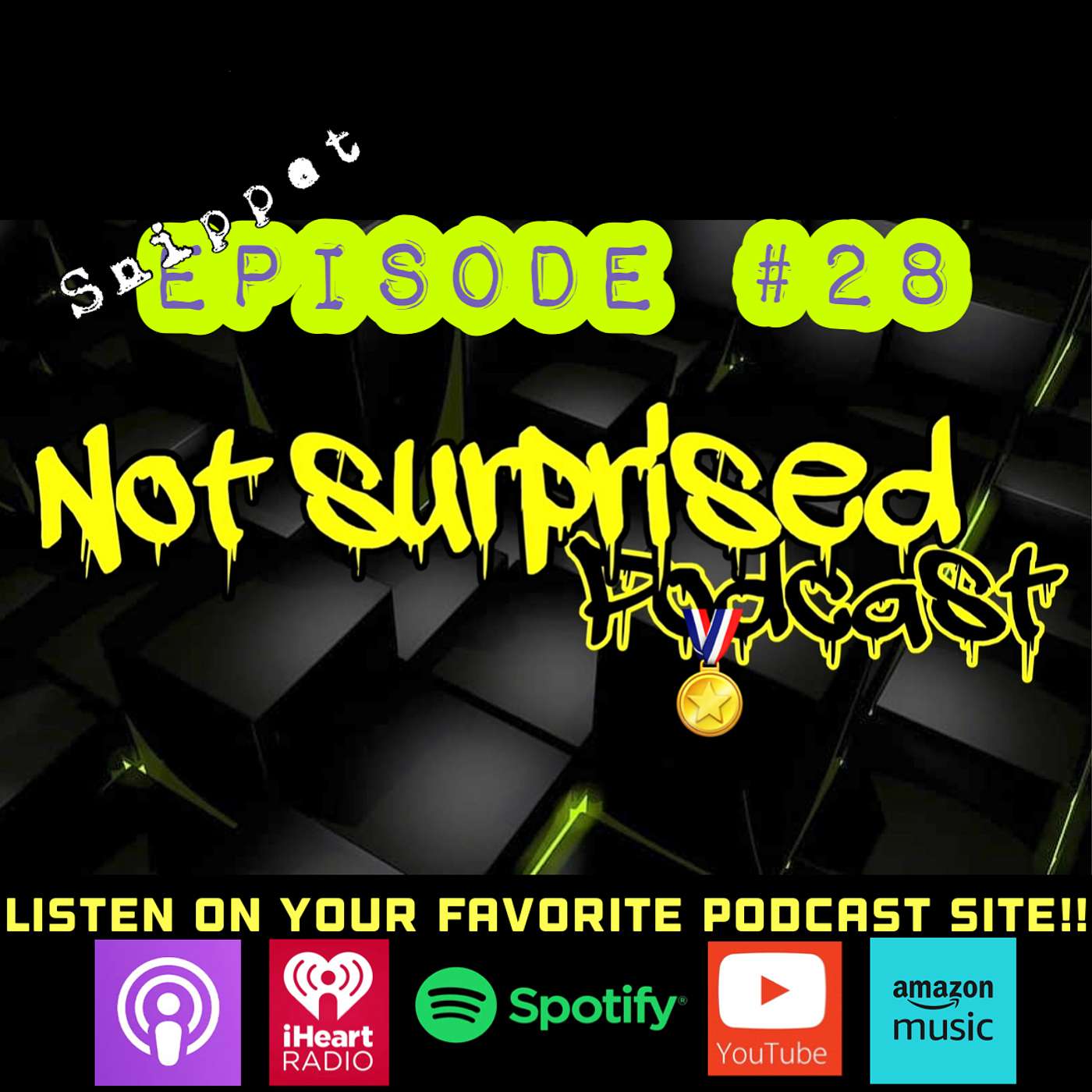 Not Surprised Podcast