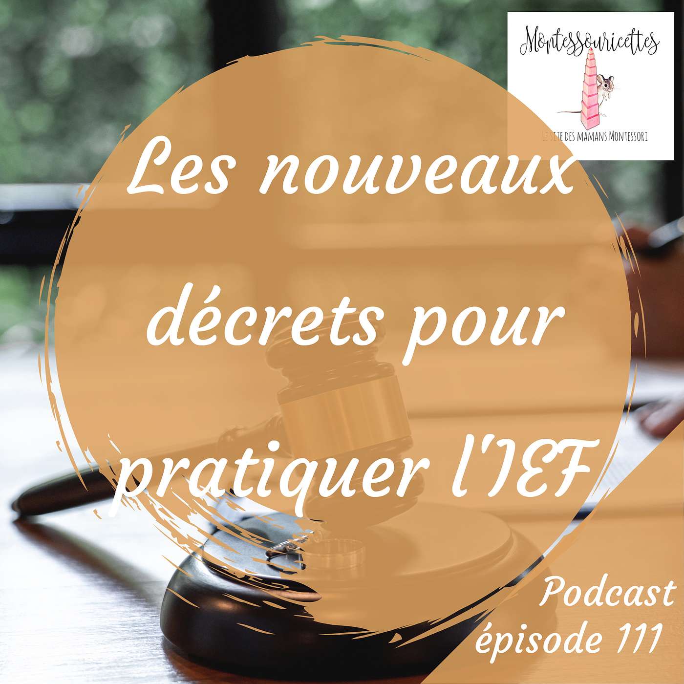111. Les nouveaux décrets pour pratiquer l'instruction en famille episode artwork