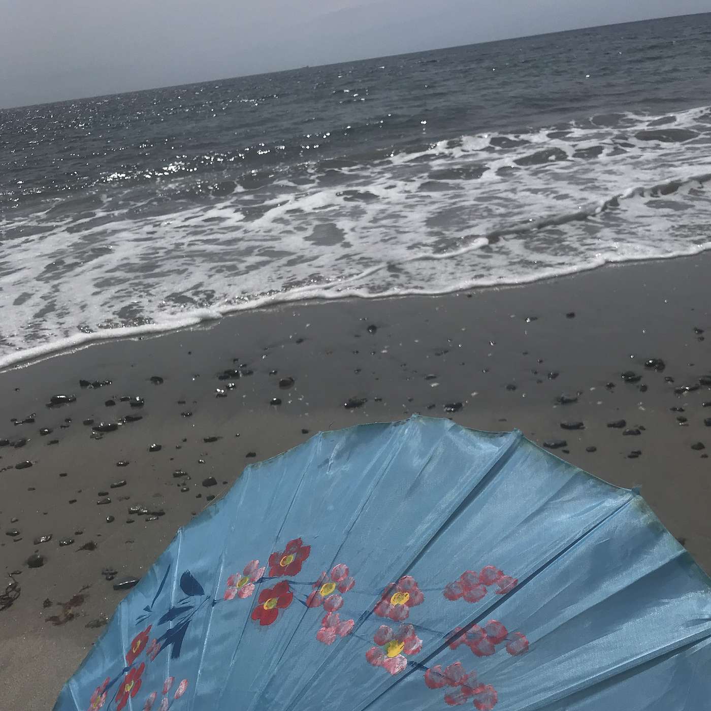 25th Stop, North Hampton State Beach, June 10 2021 10:30 am