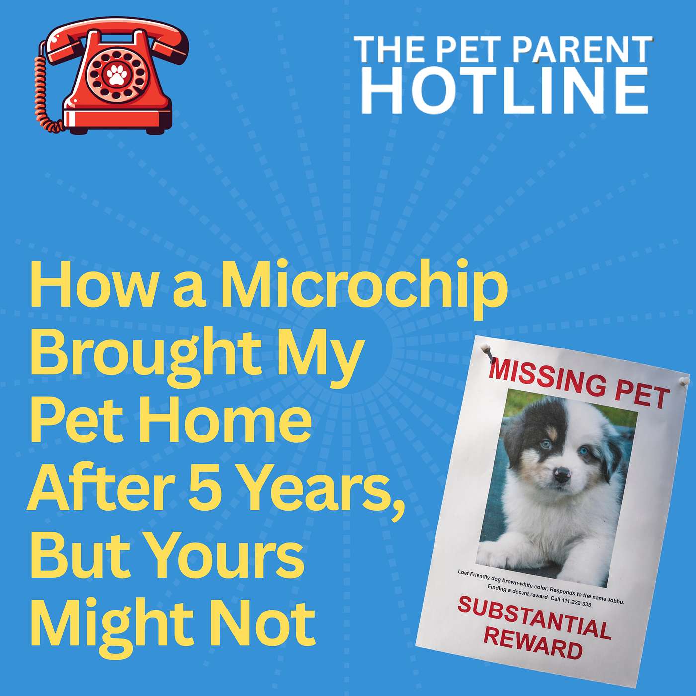How a Microchip Brought My Pet Home After 5 Years, But Yours Might Not