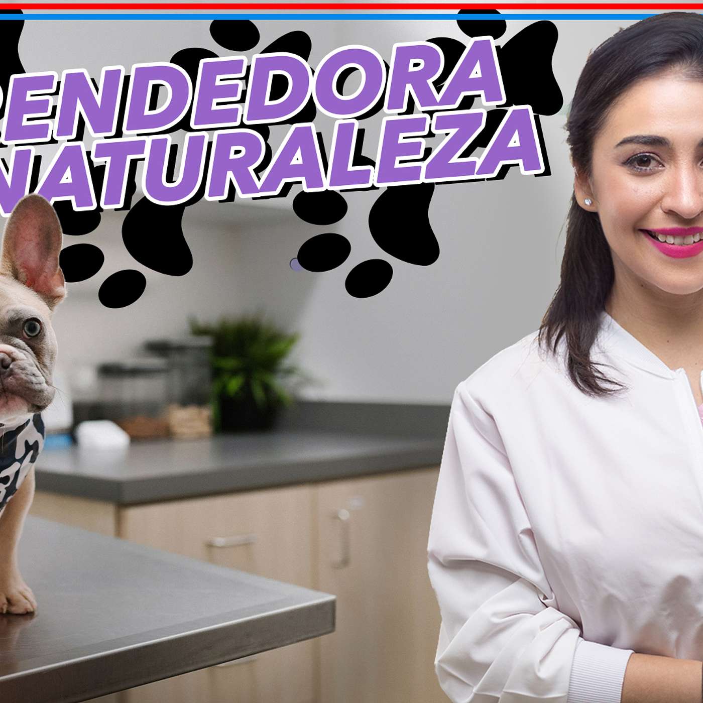 Veterinaria Y Emprendedora: Yessika Aguilera Dueña De Dog Grooming Ykas Pets | TGLFP (2024)