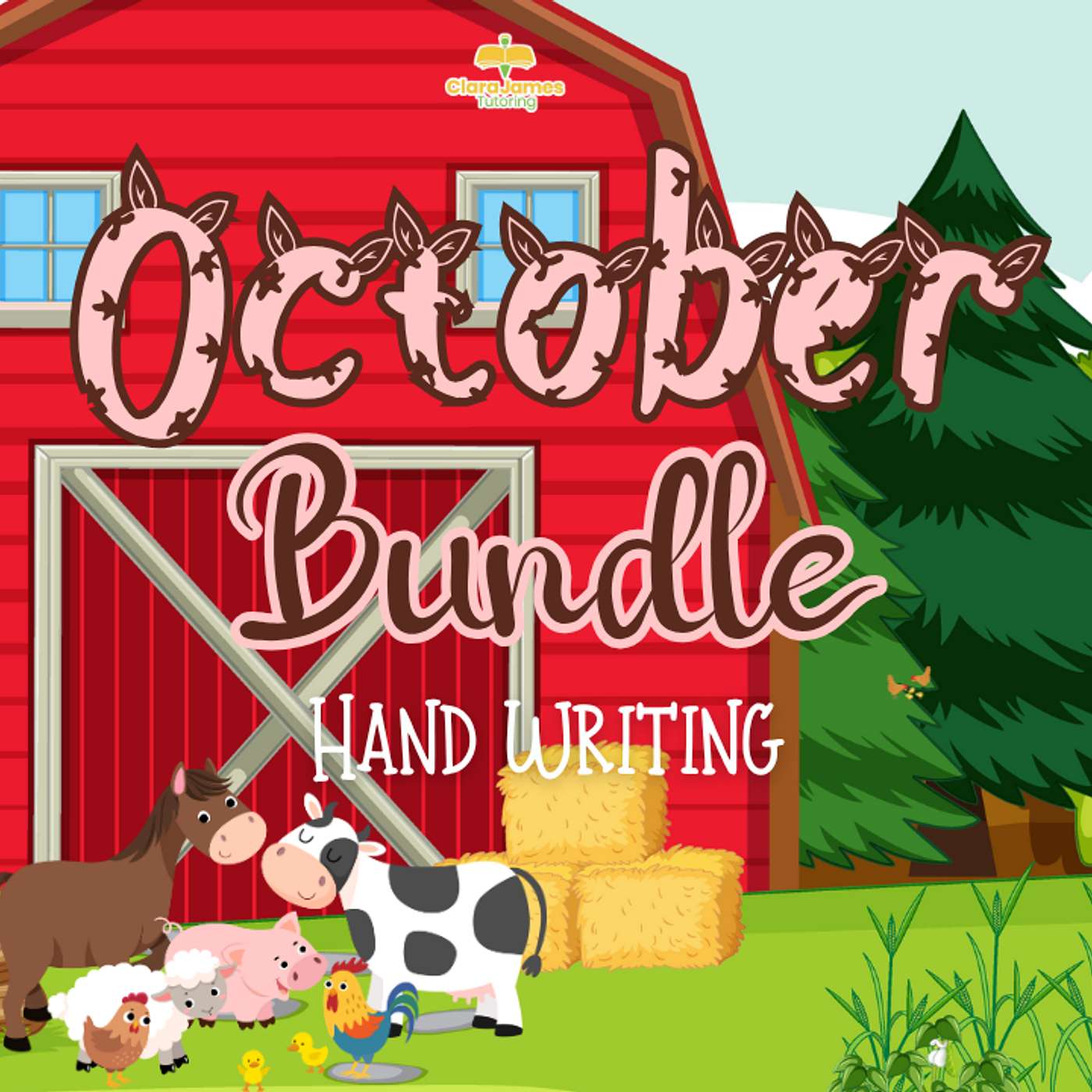 The Clara James Approach to learning