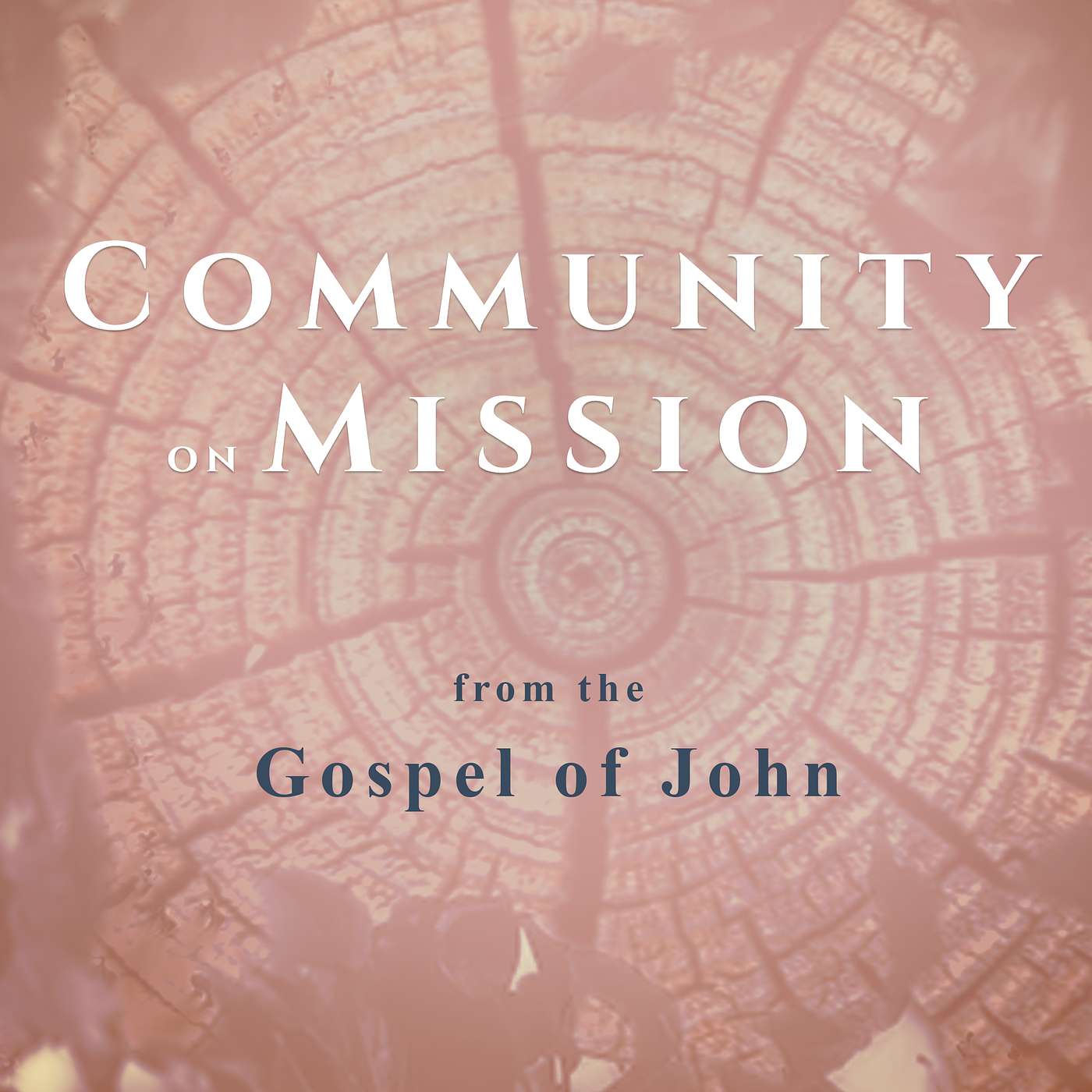 Community on Mission | John 15:1-17 (Sunday, February 1, 2026)