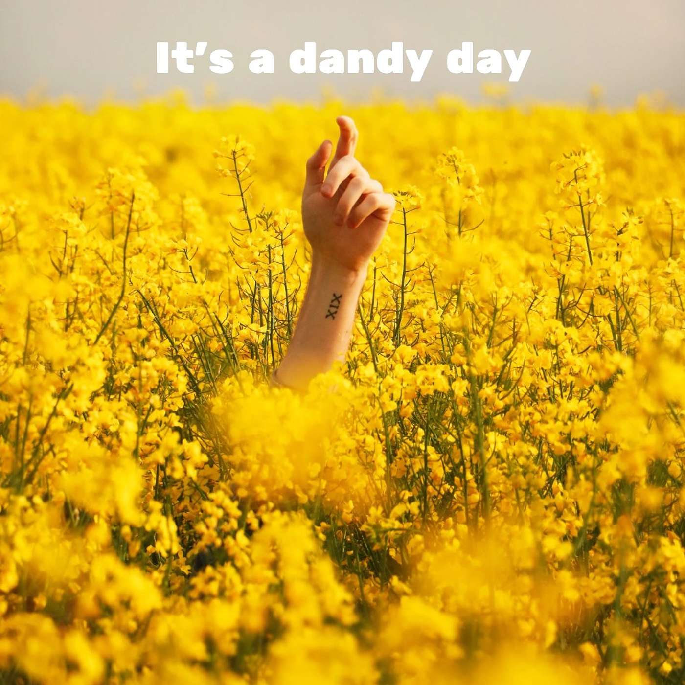 #61 It's a dandy day episode artwork