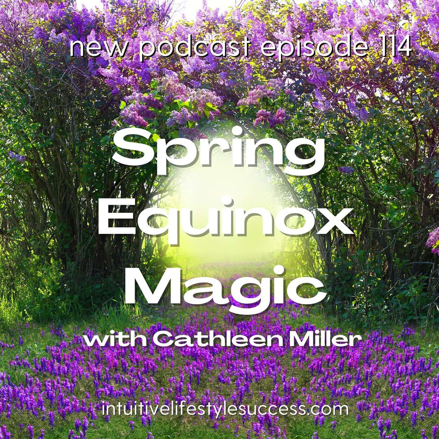 Intuitive Lifestyle Success Podcast
