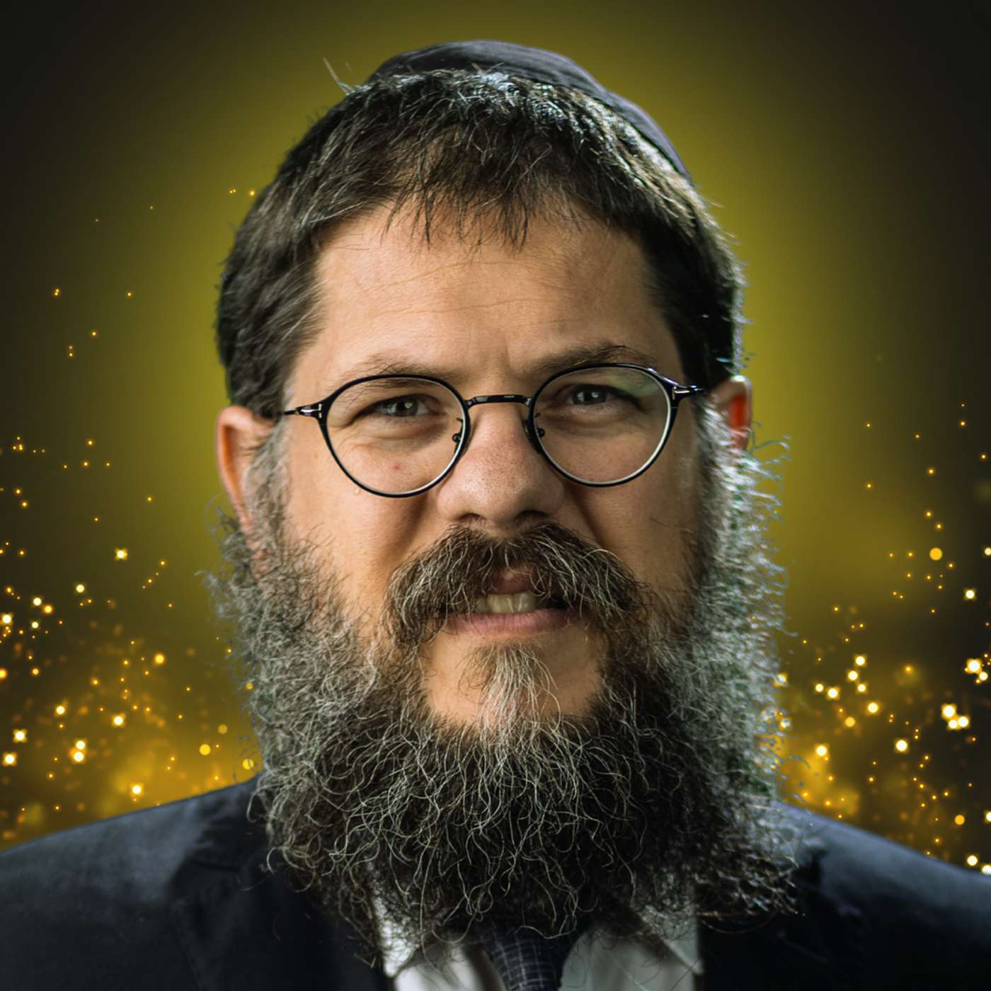 הרב שניאור אשכנזי
