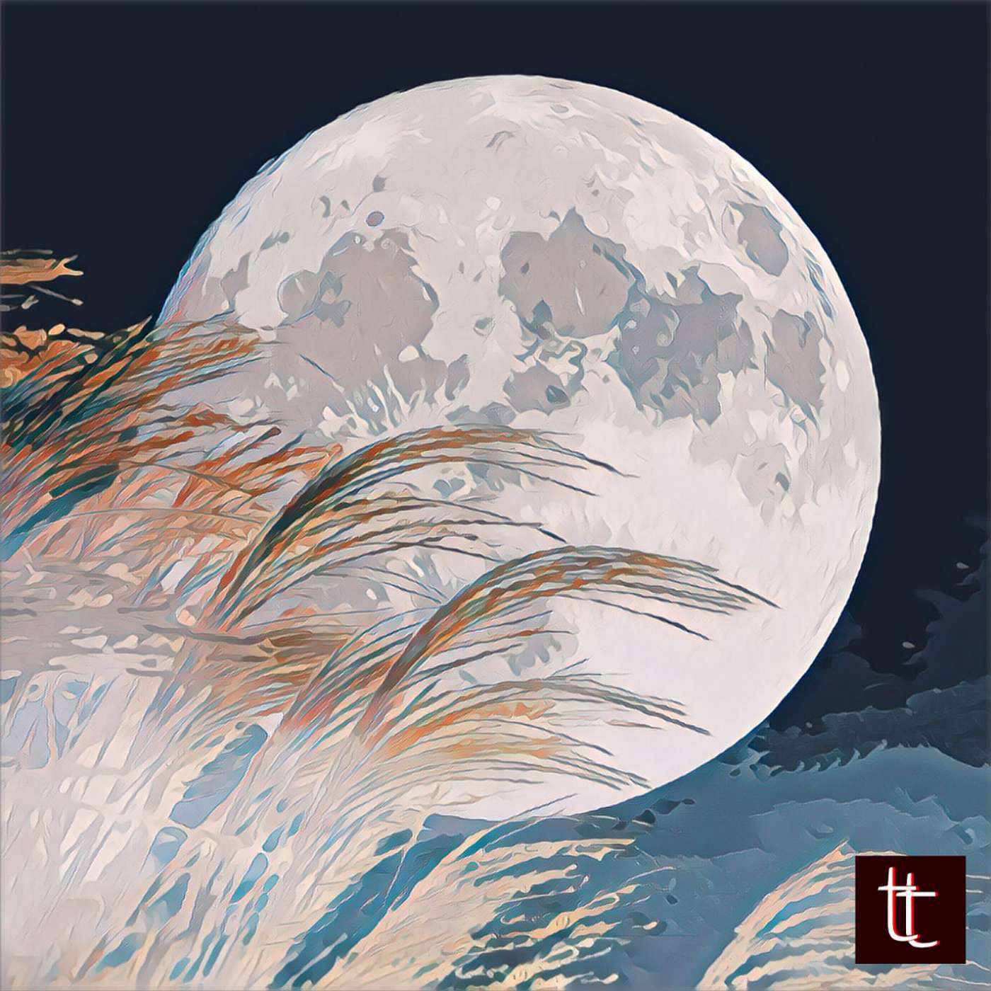 Tiny Tales