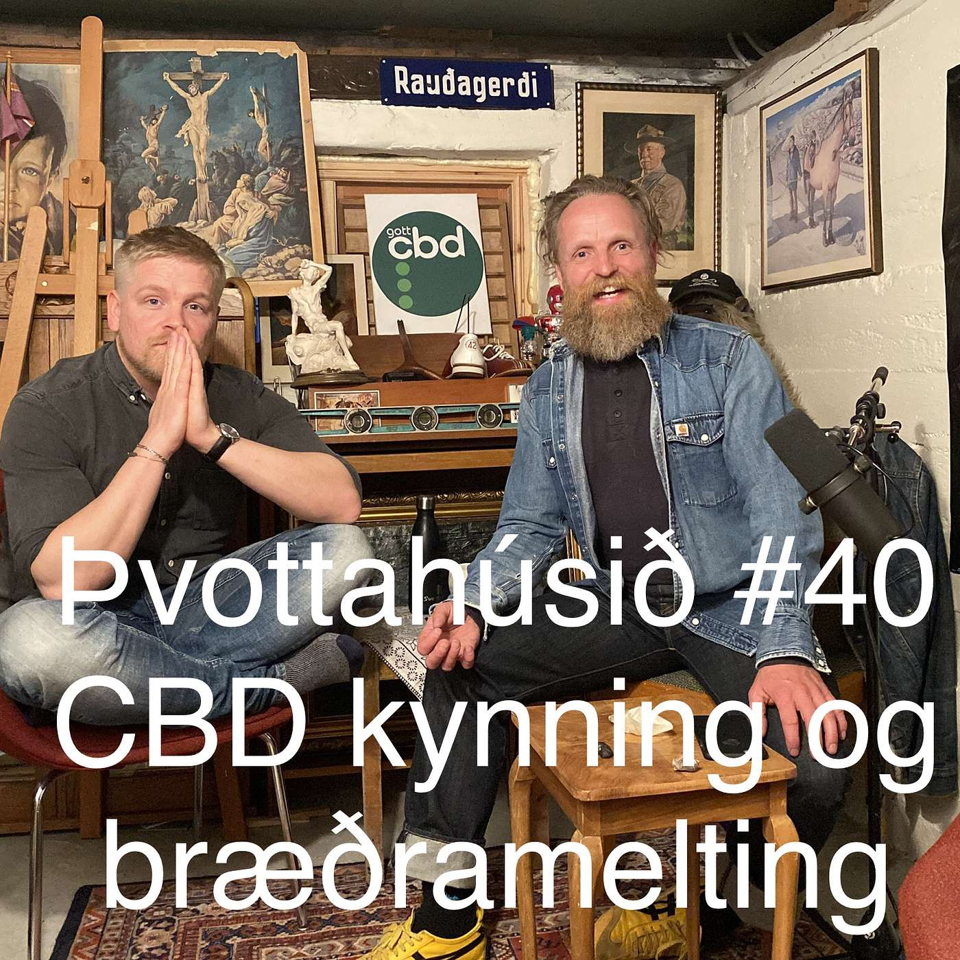 Þvottahúsið #40 Bræðramelting á þrem ofurkonun og einu ofurkvár