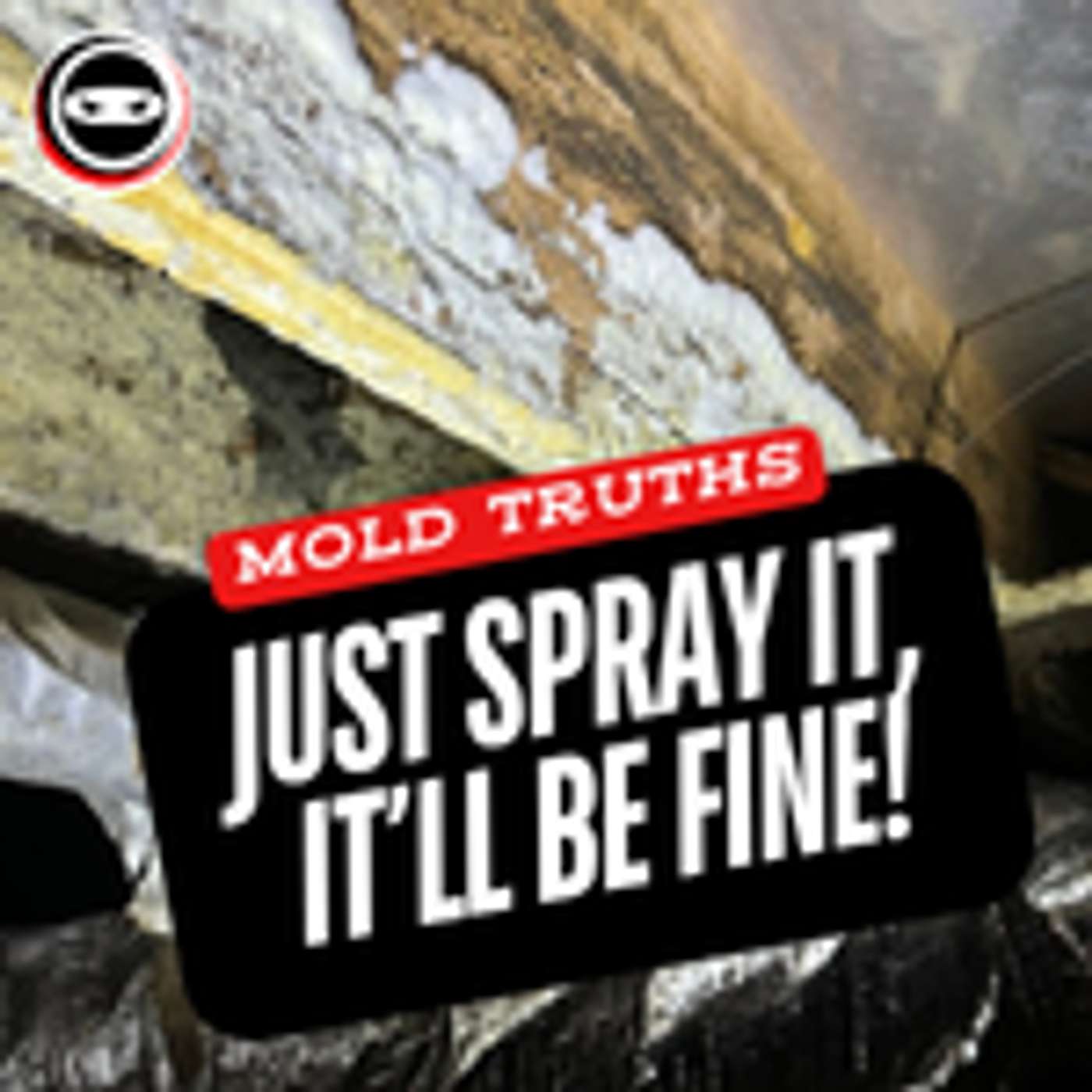 What Your Mold Remediation Contractor Isn't Telling You