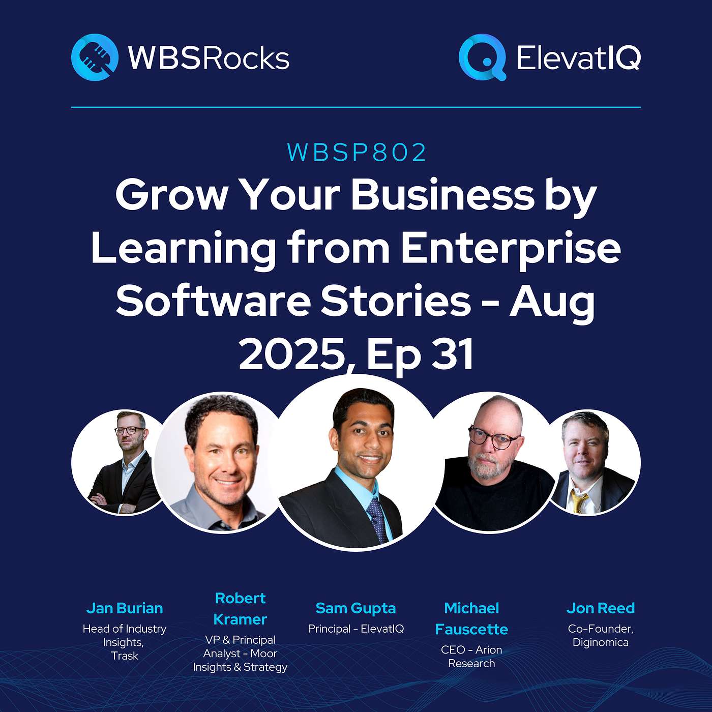 WBSP802: Grow Your Business by Learning from Enterprise Software Stories - Aug 2025, Ep 31, an Objective Panel Discussion