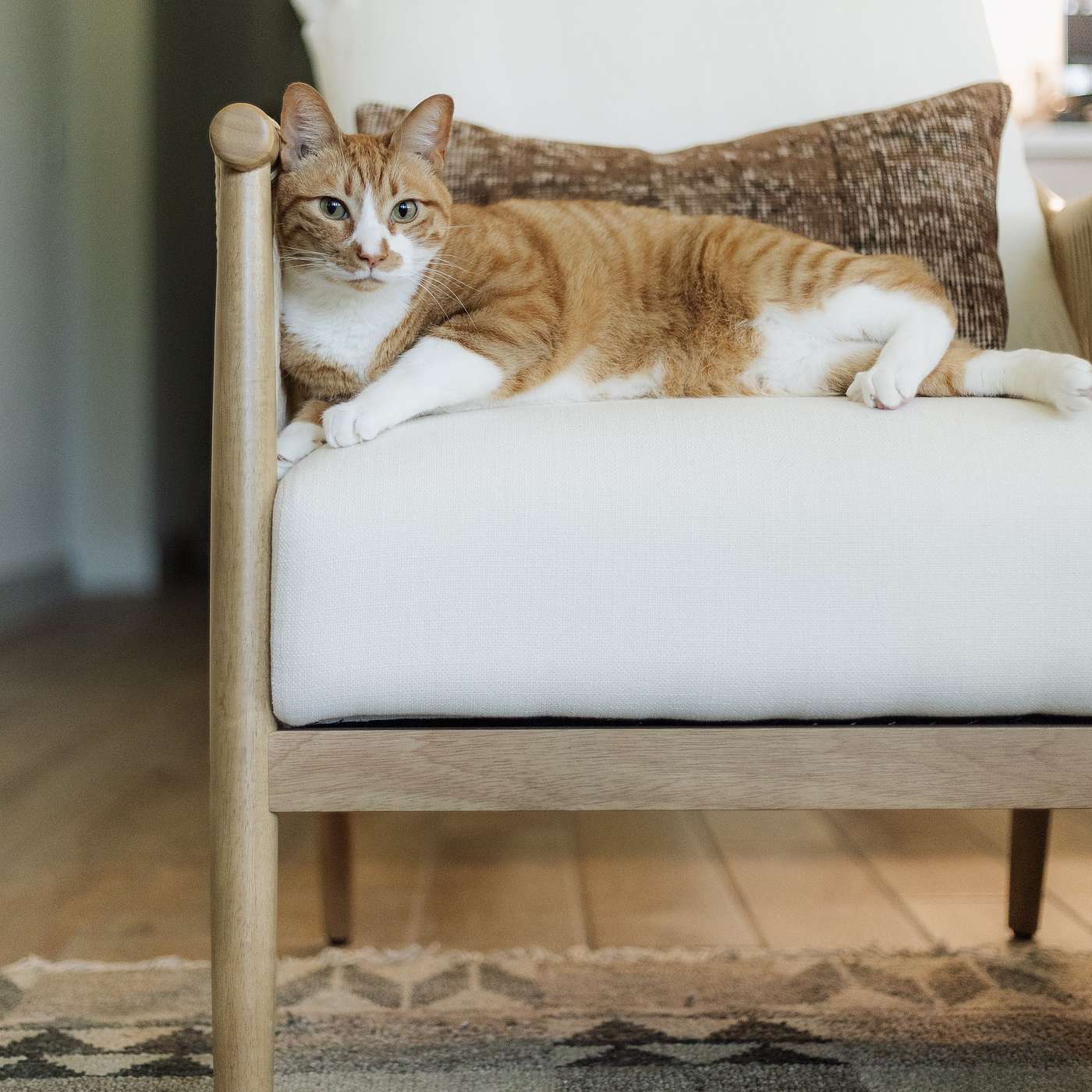 How to Arrange Furniture in Small Living Sapces Efficiently for Comfort and Style