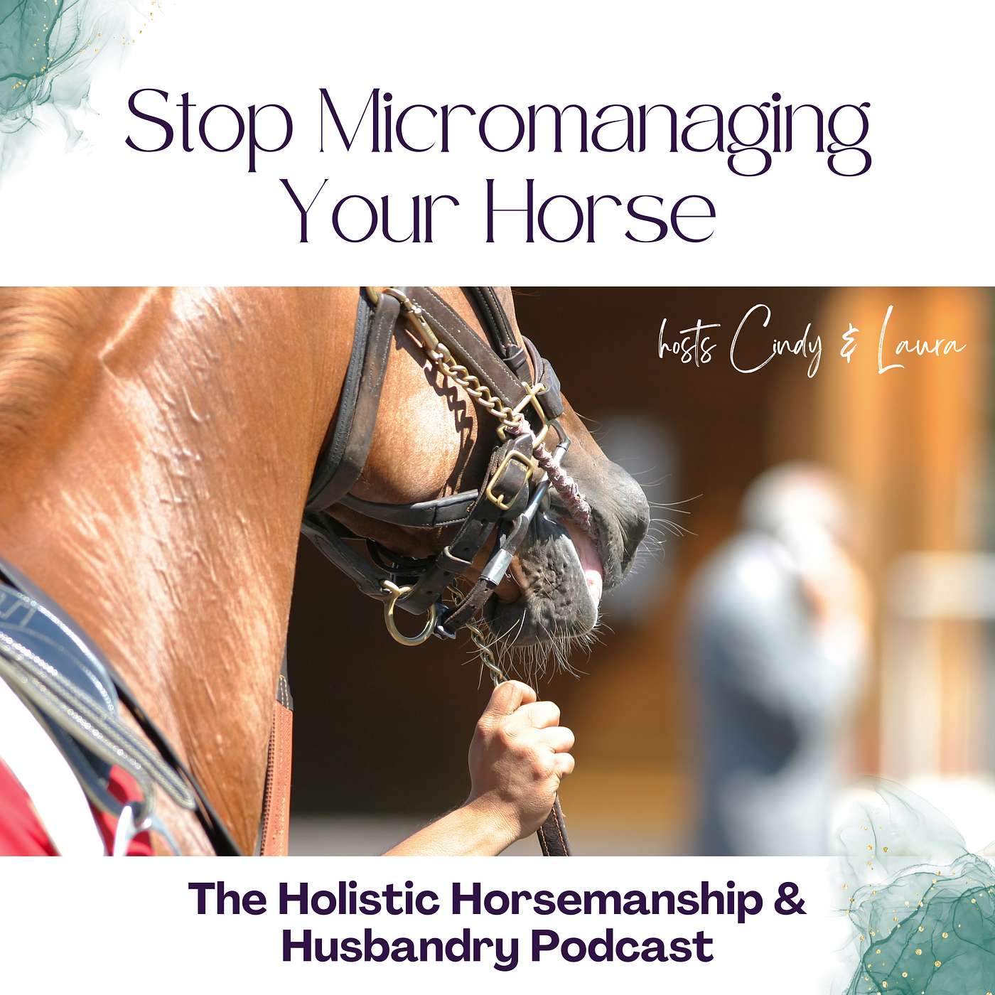 #37 How to Stop Micromanaging Your Horse