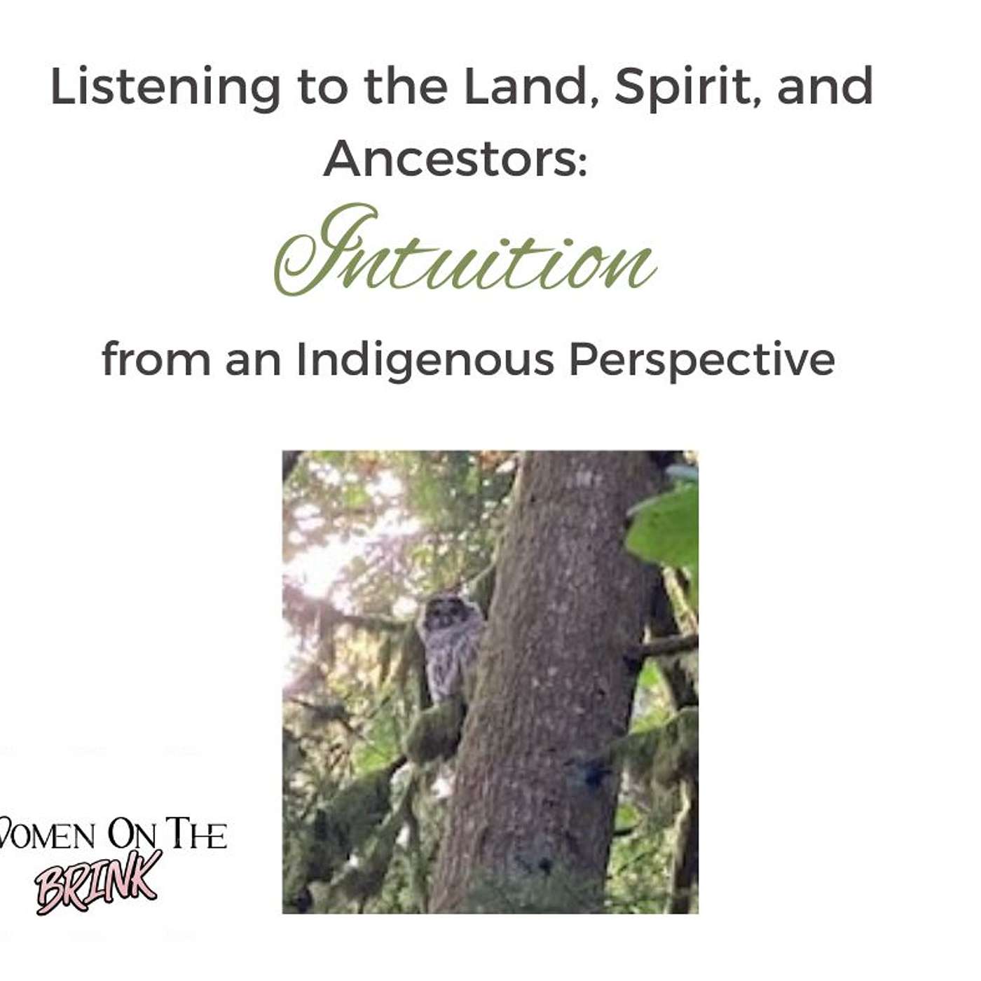 Listening to the Land, Spirit, and Ancestors: Intuition from an Indigenous Perspective episode artwork