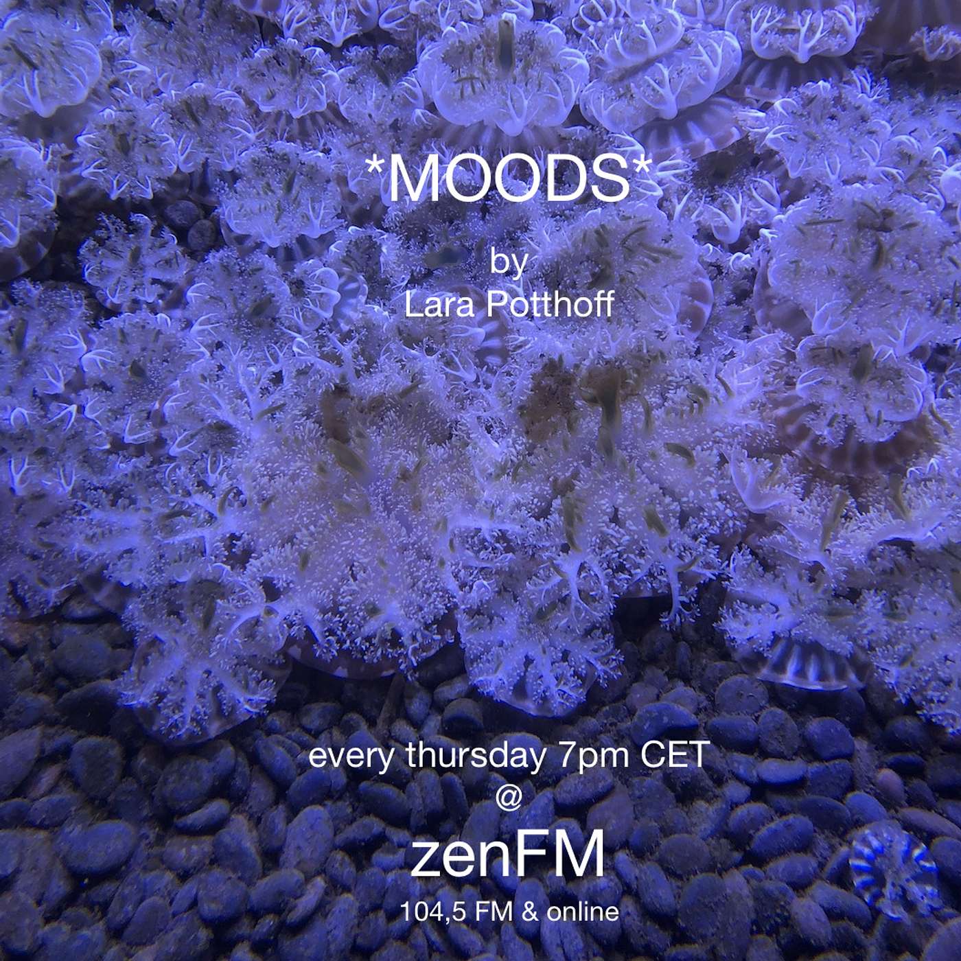 Moods by Lara Potthoff