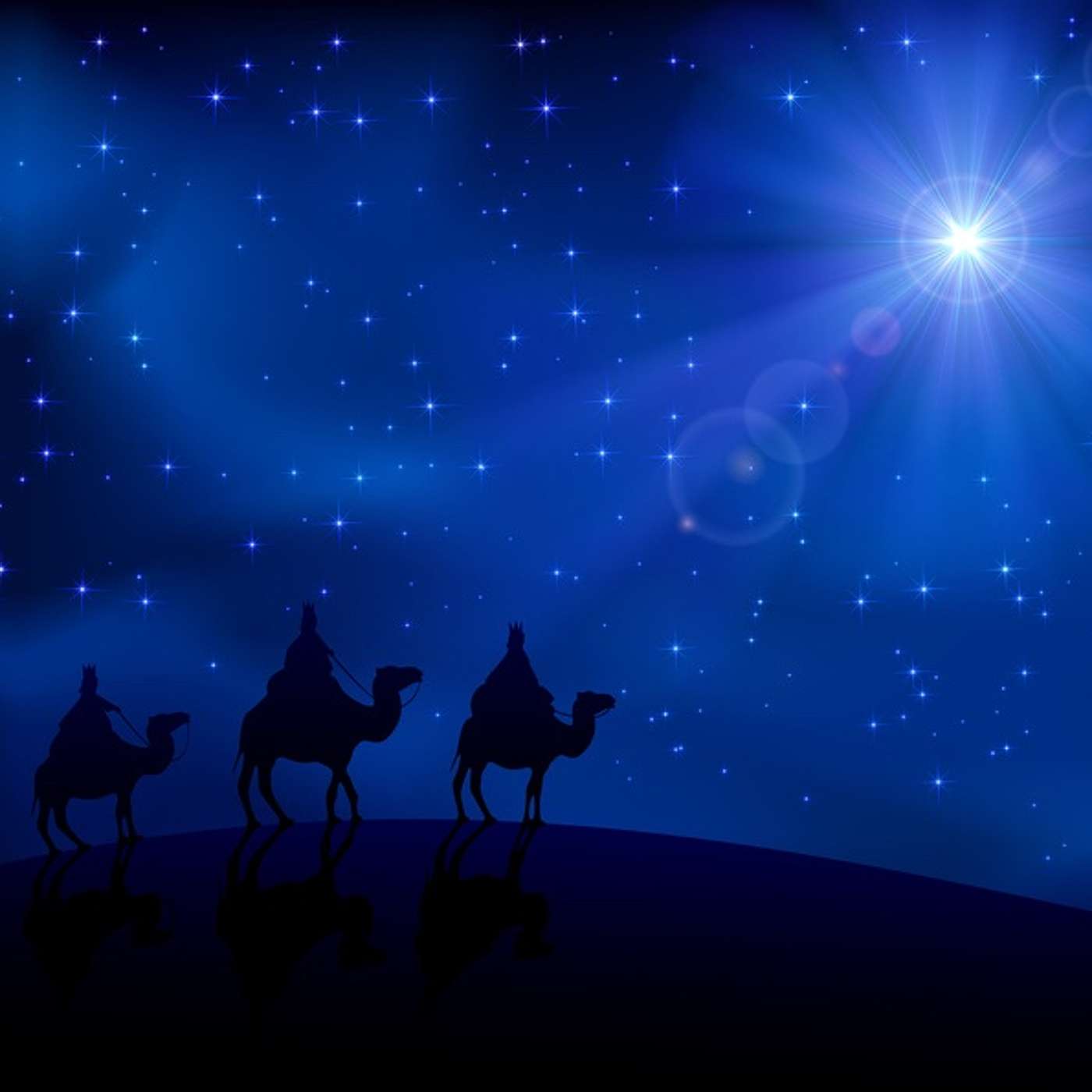 Episode 12: Star of Wonder
