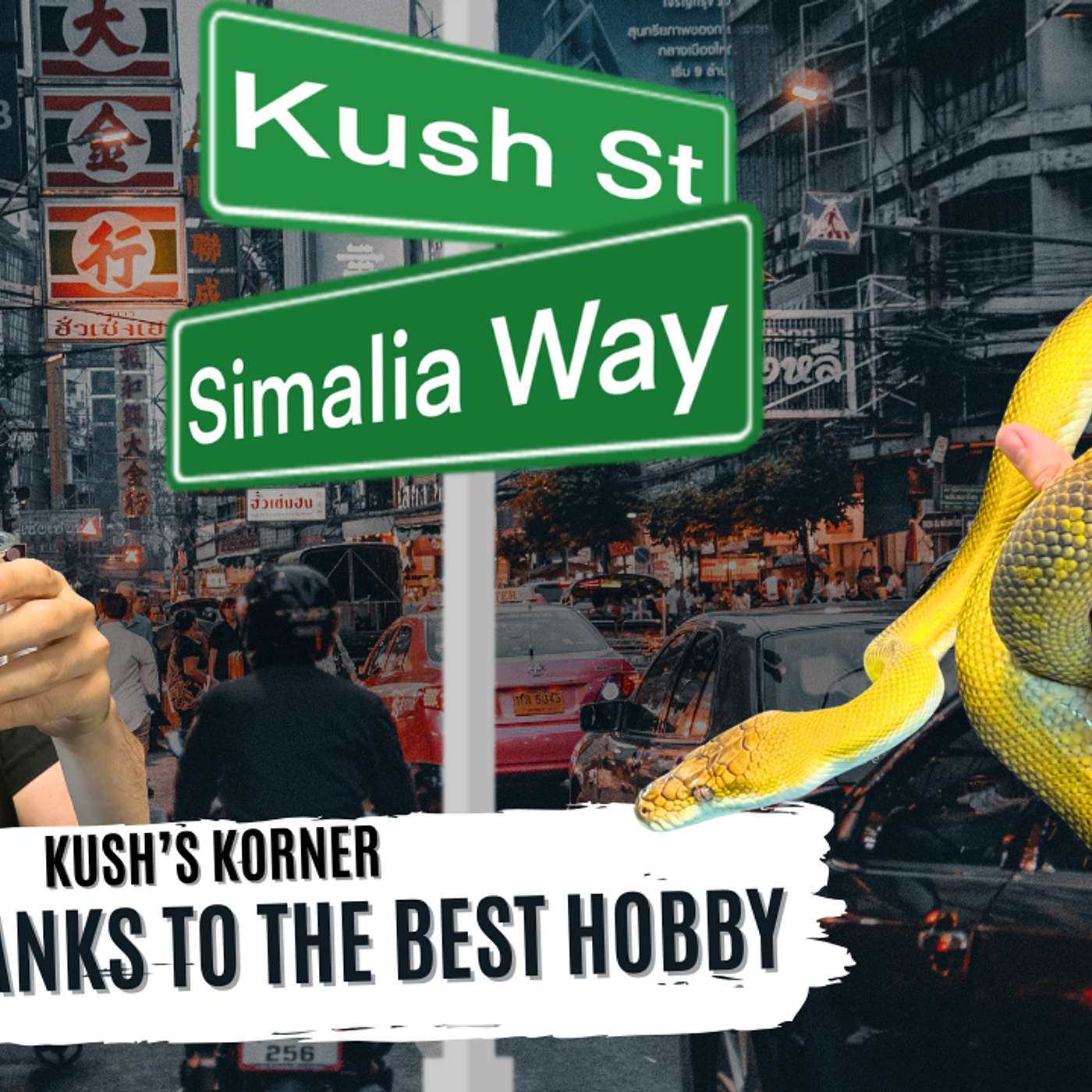 GIVING THANKS TO THE BEST HOBBY IN THE WORLD | KUSH'S KORNER LIVE
