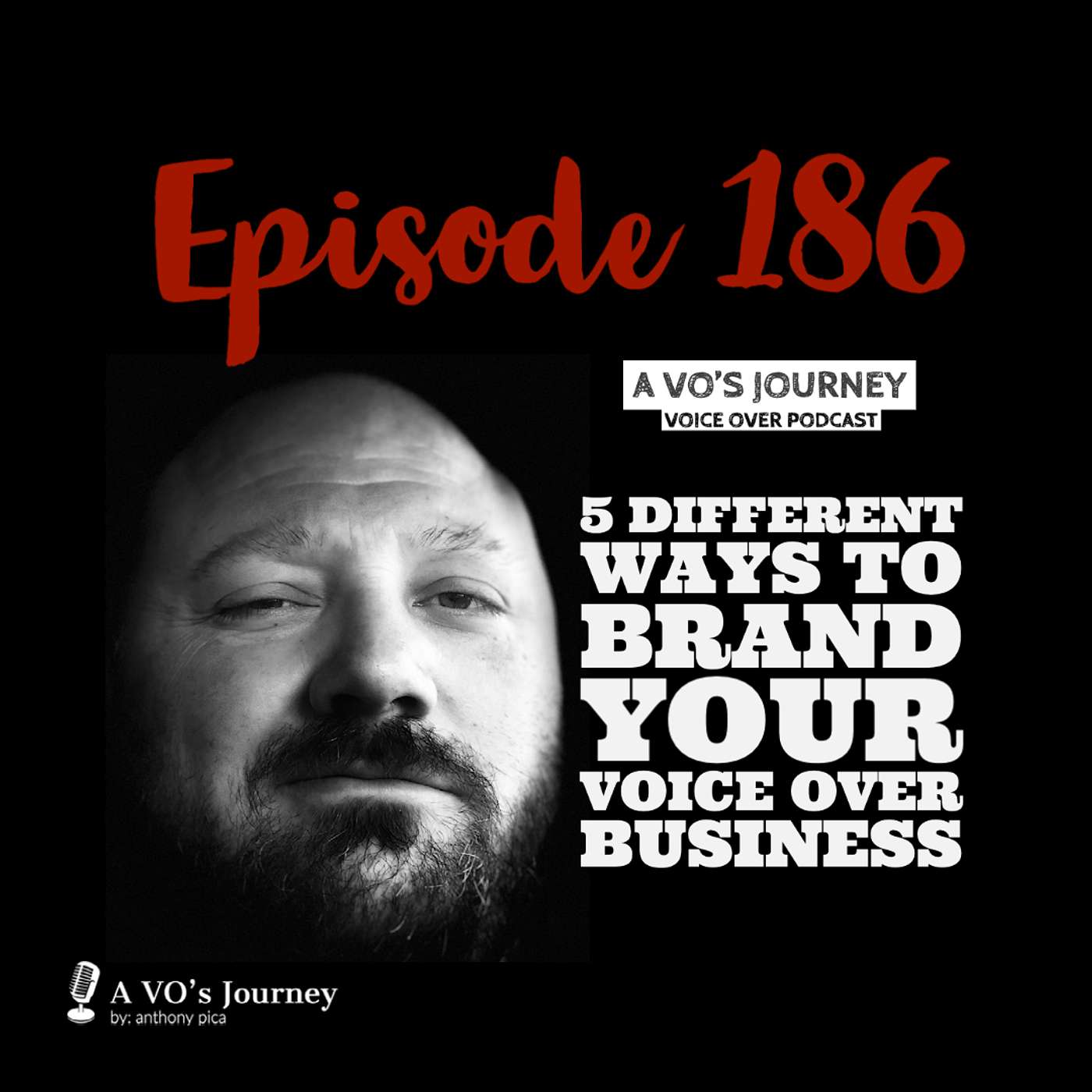 A VO\'s Journey: Voiceover and more voice over