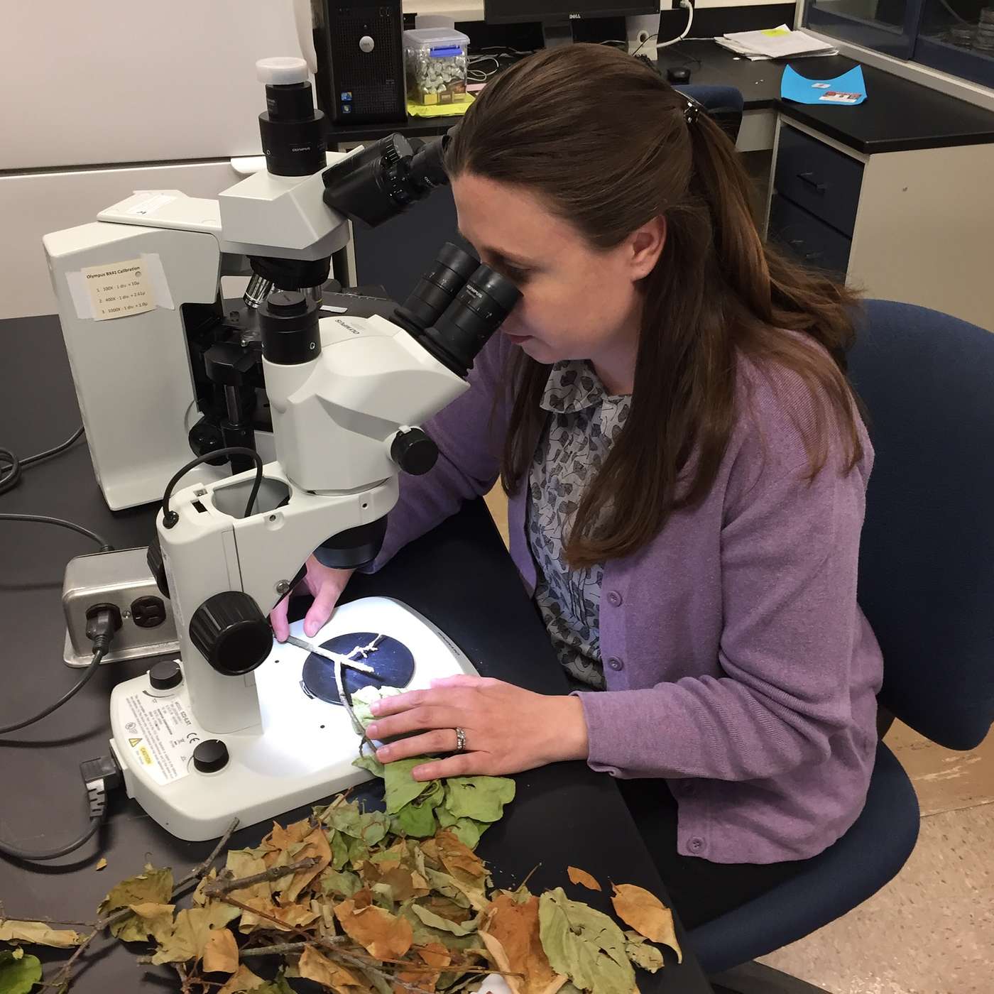 S4E12: Identifying Crop Disease with the Plant Disease Clinic