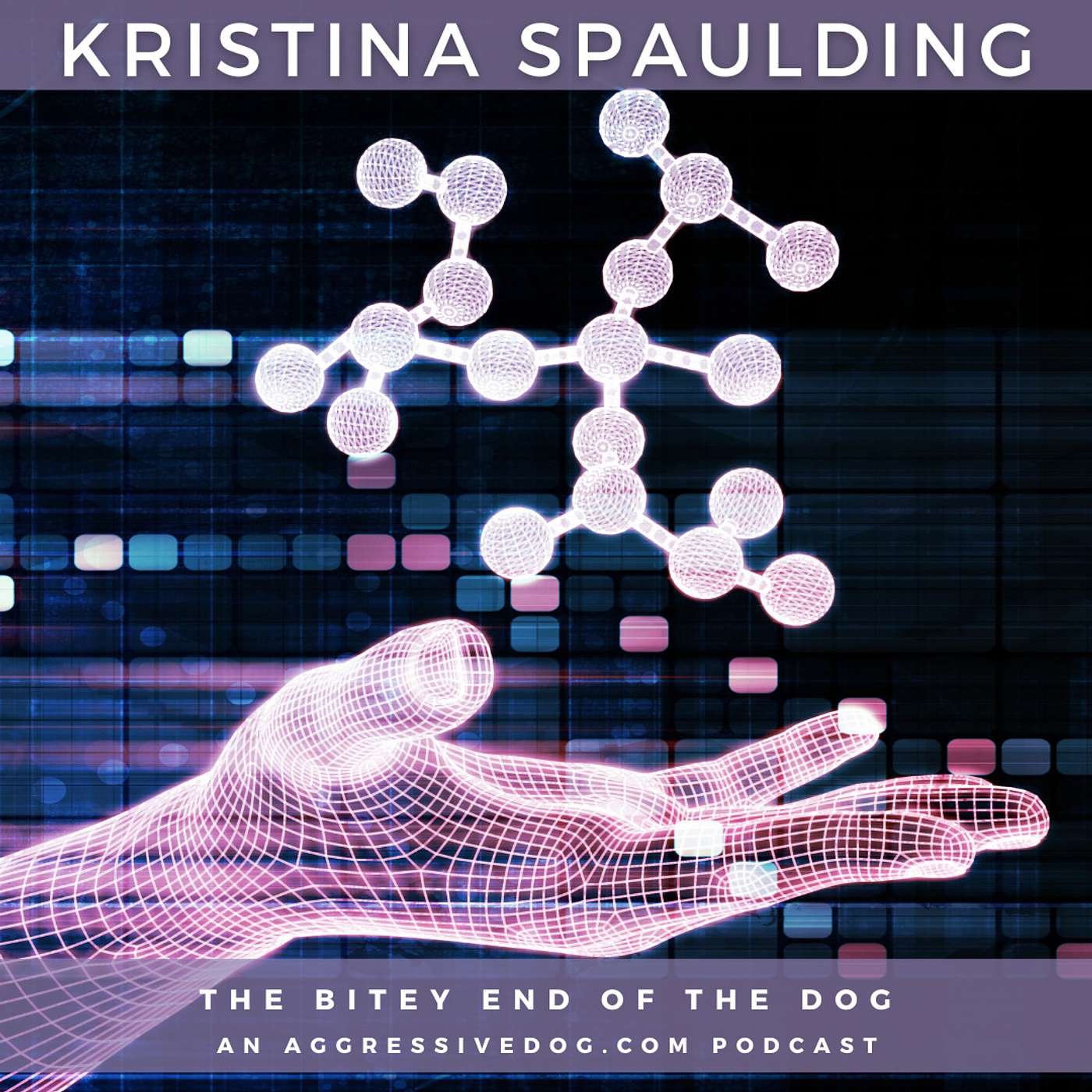 Dr. Kristina Spaulding PhD