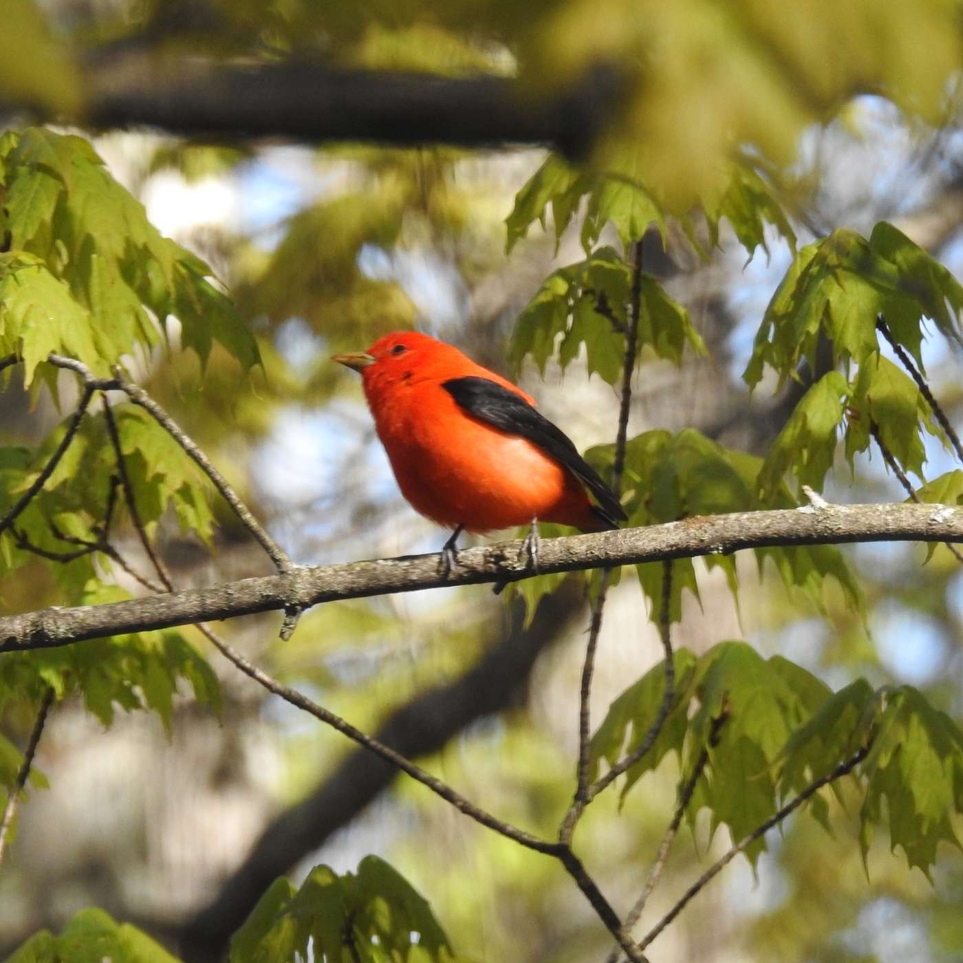 RIGHT OUTSIDE OUR WINDOWS