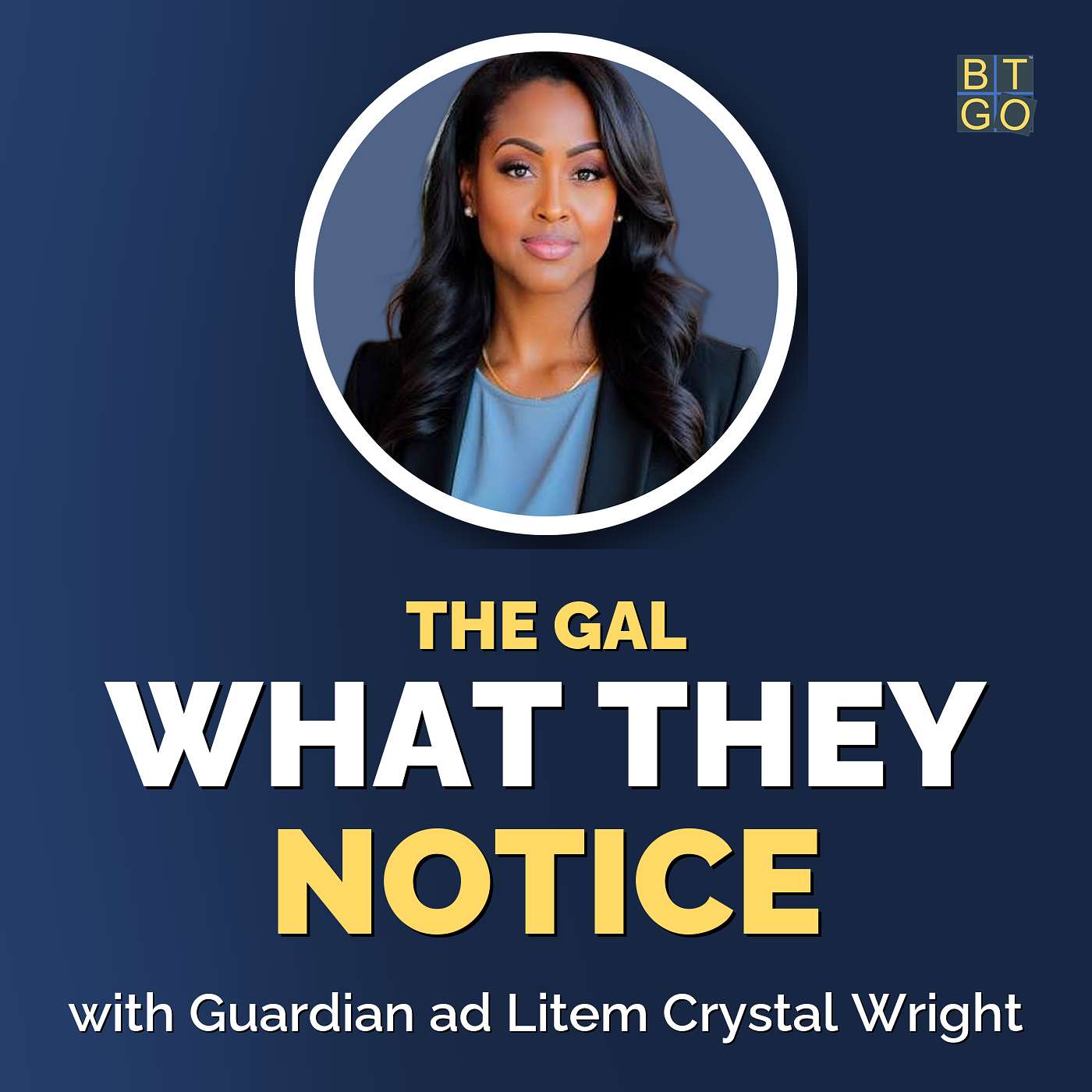What a Guardian Ad Litem Actually Cares About episode artwork