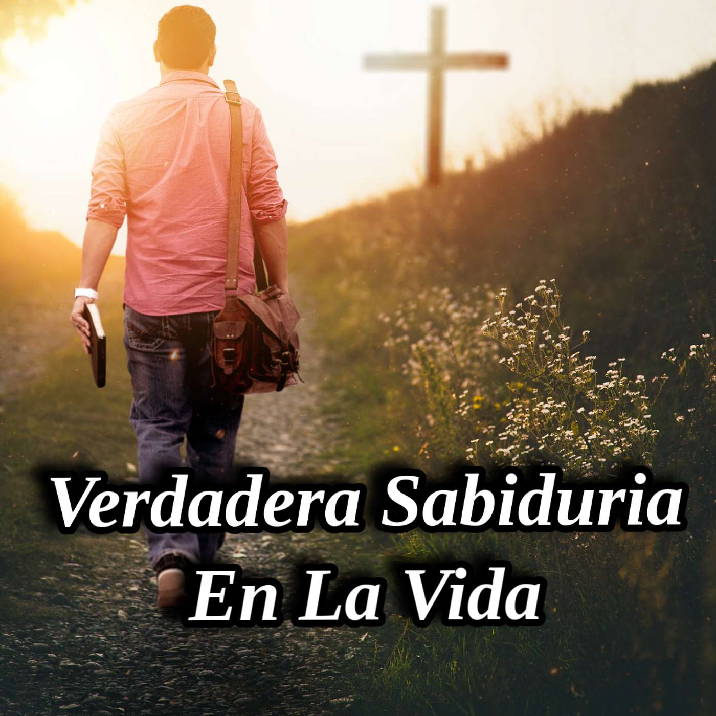 Verdadera Sabiduria En La Vida
