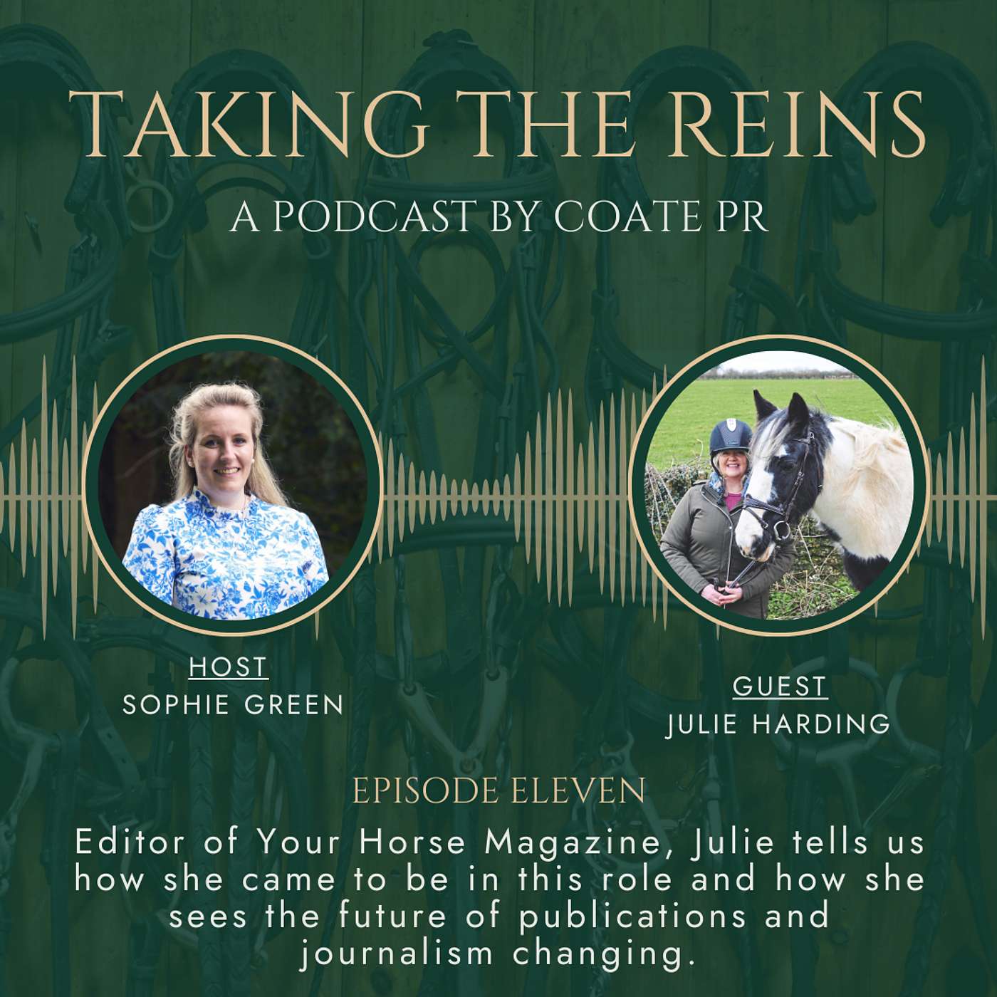 Taking The Reins of Your Horse Magazine with Editor Julie Harding episode artwork