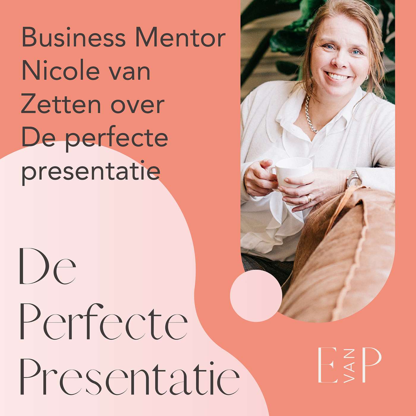 De perfecte presentatie