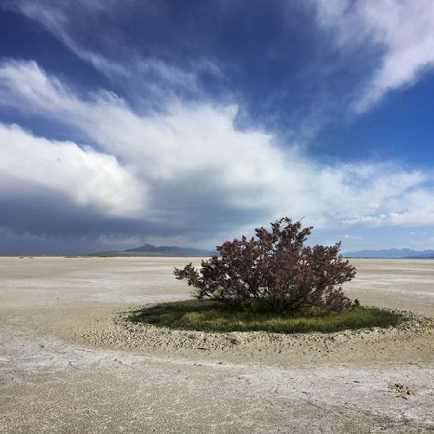01: Dust in the Wind: Dr. Kevin Perry on Investigating Dust from the Great Salt Lake