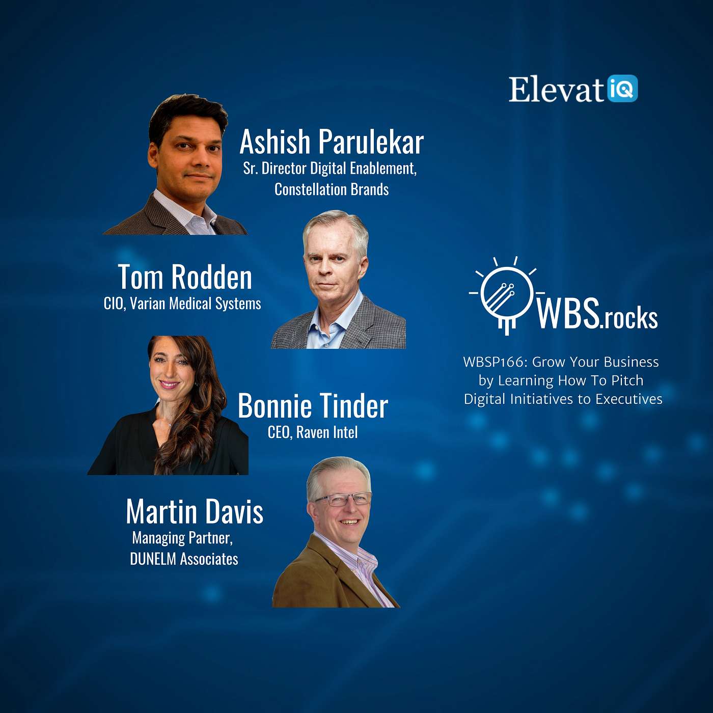 WBSP166: Grow Your Business by Learning How To Pitch Digital Initiatives to Executives, a Live Interview w/ a Panel of Experts
