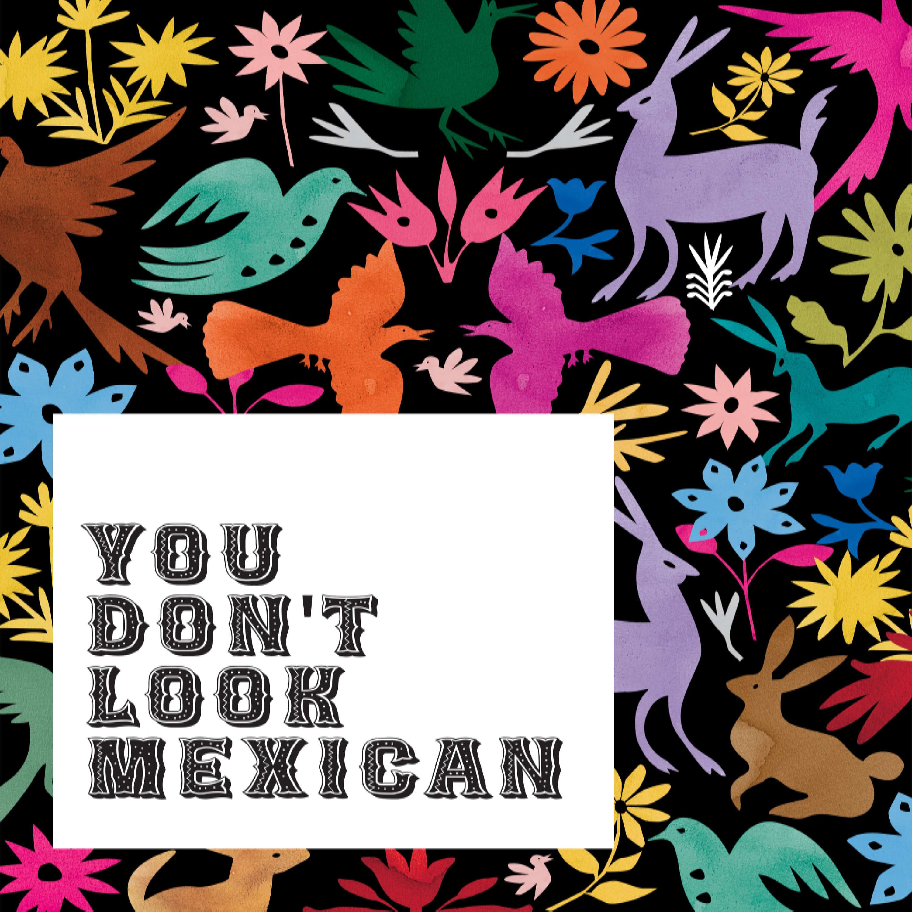 You Don't Look Mexican podcast artwork