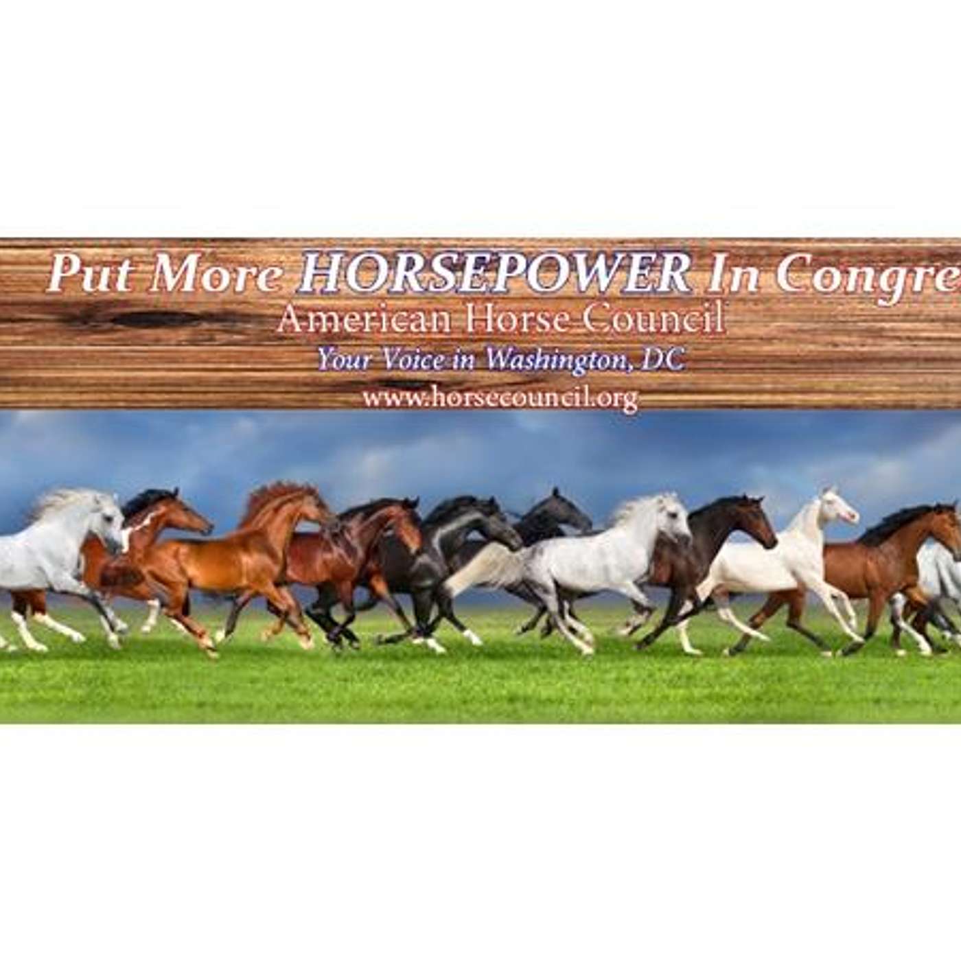 CDL/ ELD RULES EXPLAINED with the AMERICAN HORSE COUNCIL & BCHA