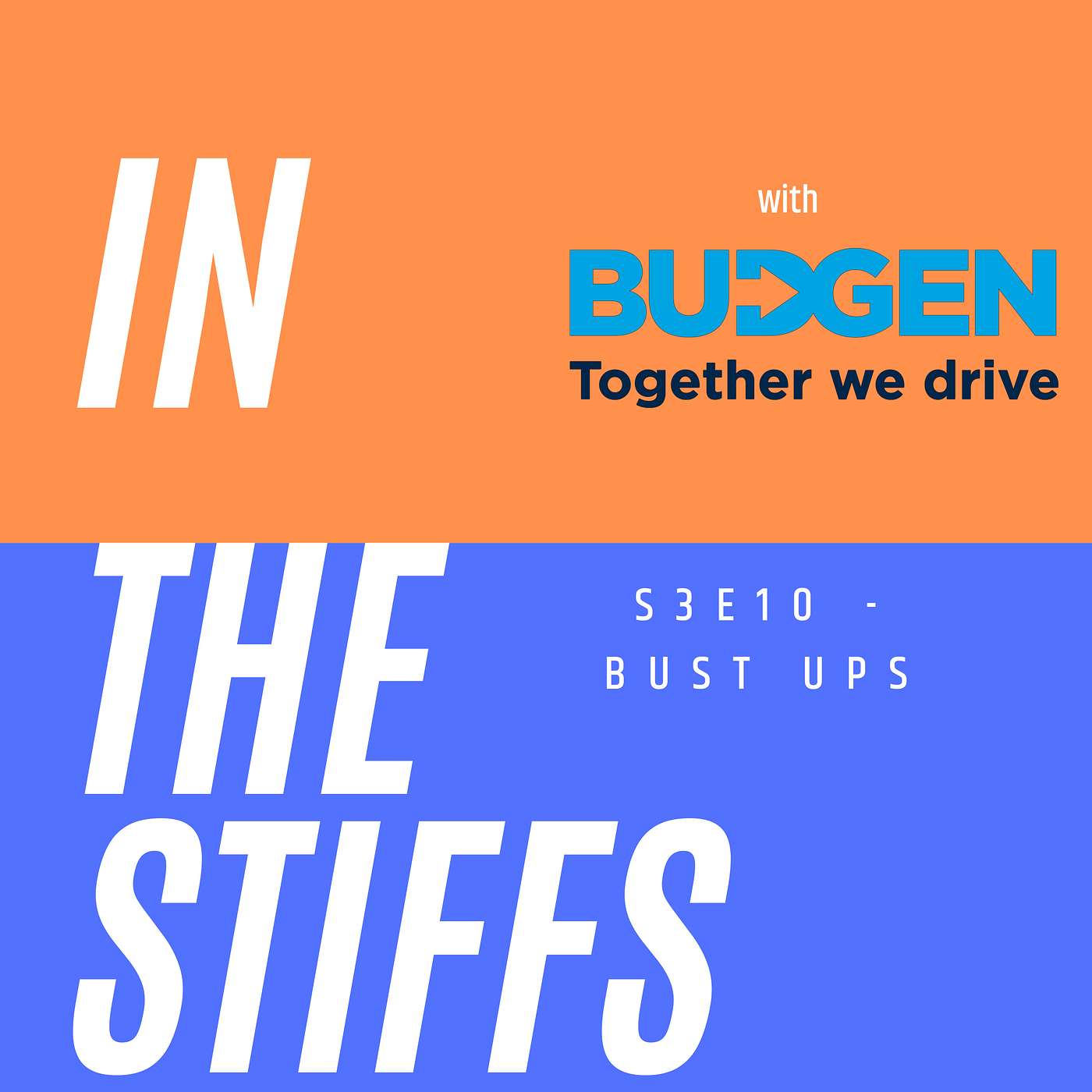 In The Stiffs - Bust Ups