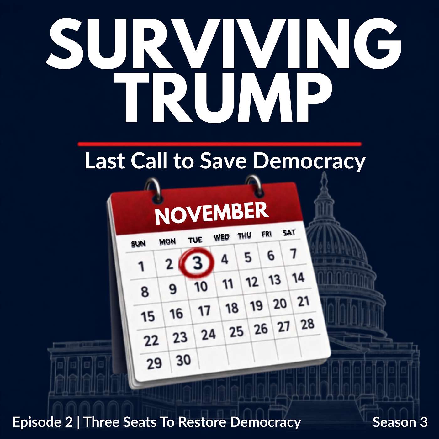 THREE SEATS TO RESTORE DEMOCRACY:  The Maps, the Money, and the Scandals Deciding the House episode artwork