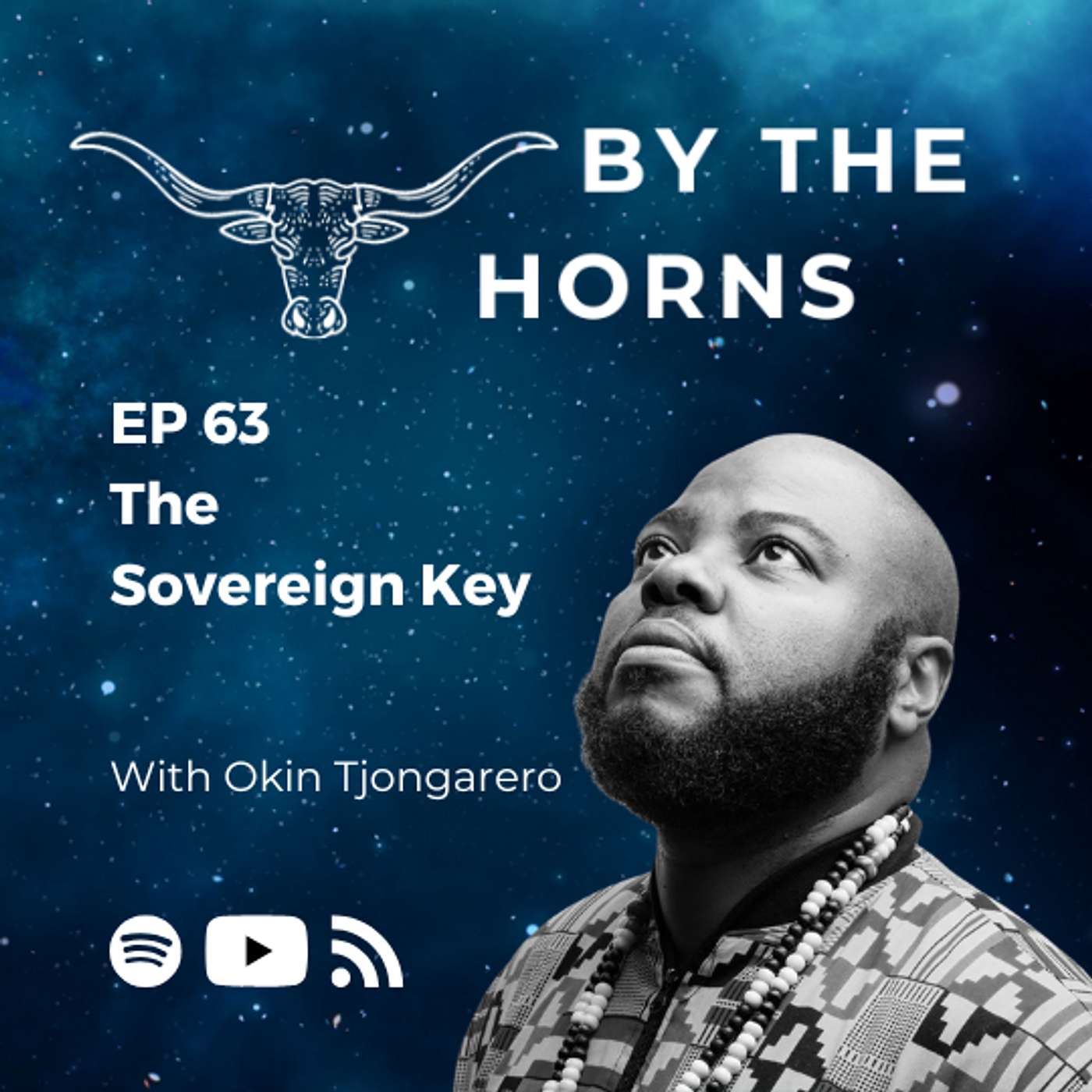 By The Horns: A Bitcoin podcast about South Africa
