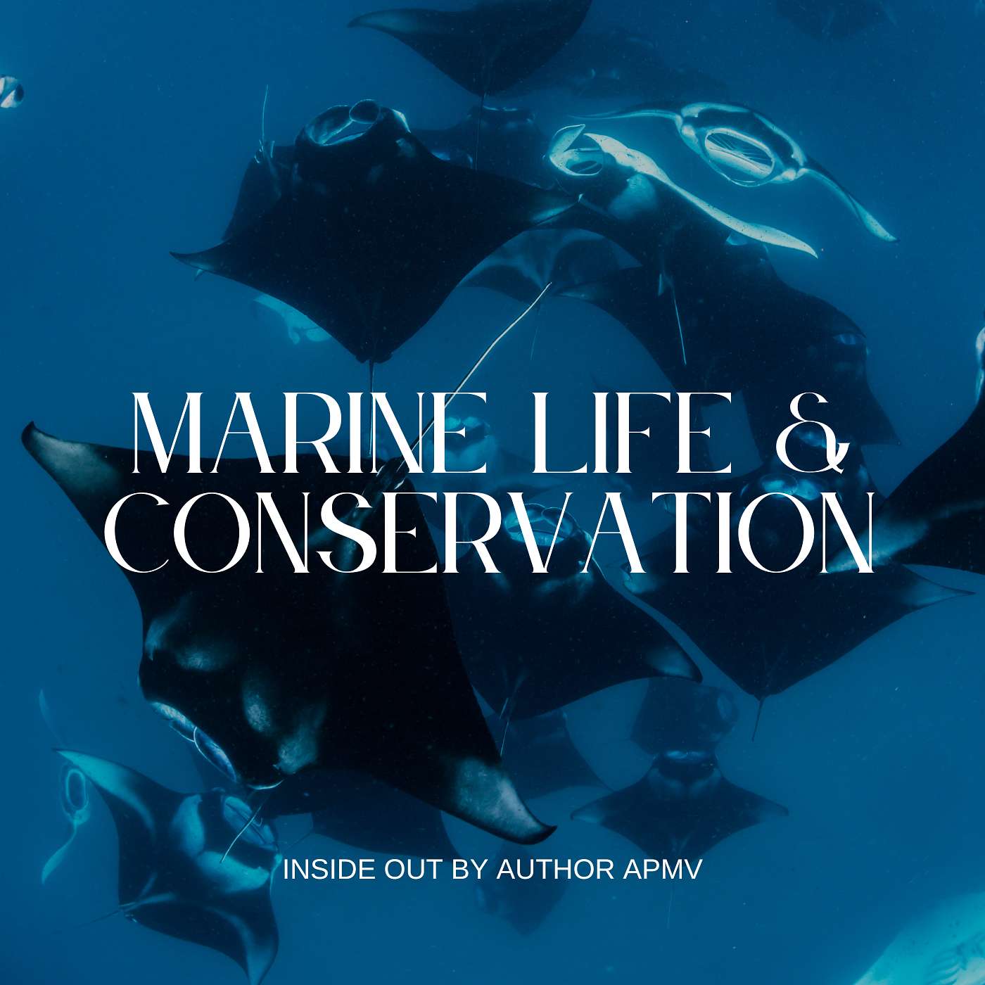 The Dance of the Mantas — Courtship Rituals Explained episode artwork