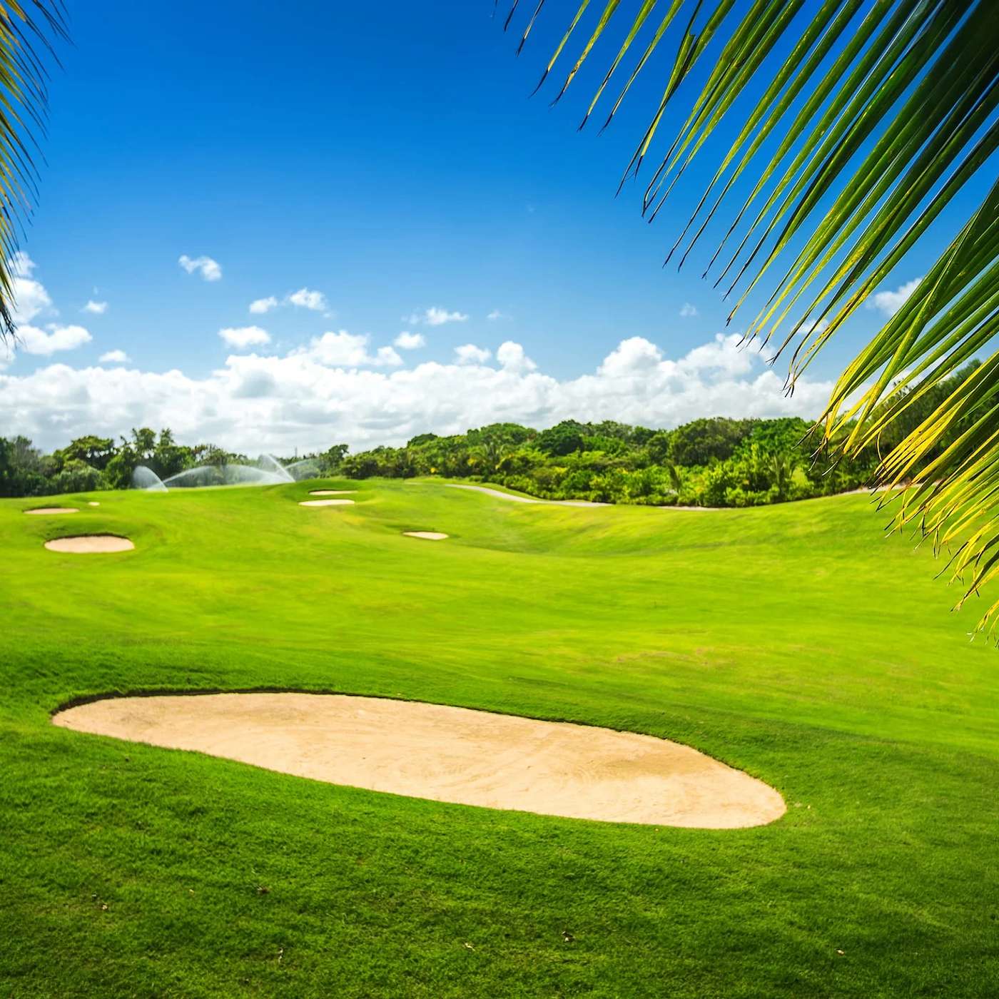 Discover the Exciting Renovation Plans for Teeth of the Dog Golf Course episode artwork