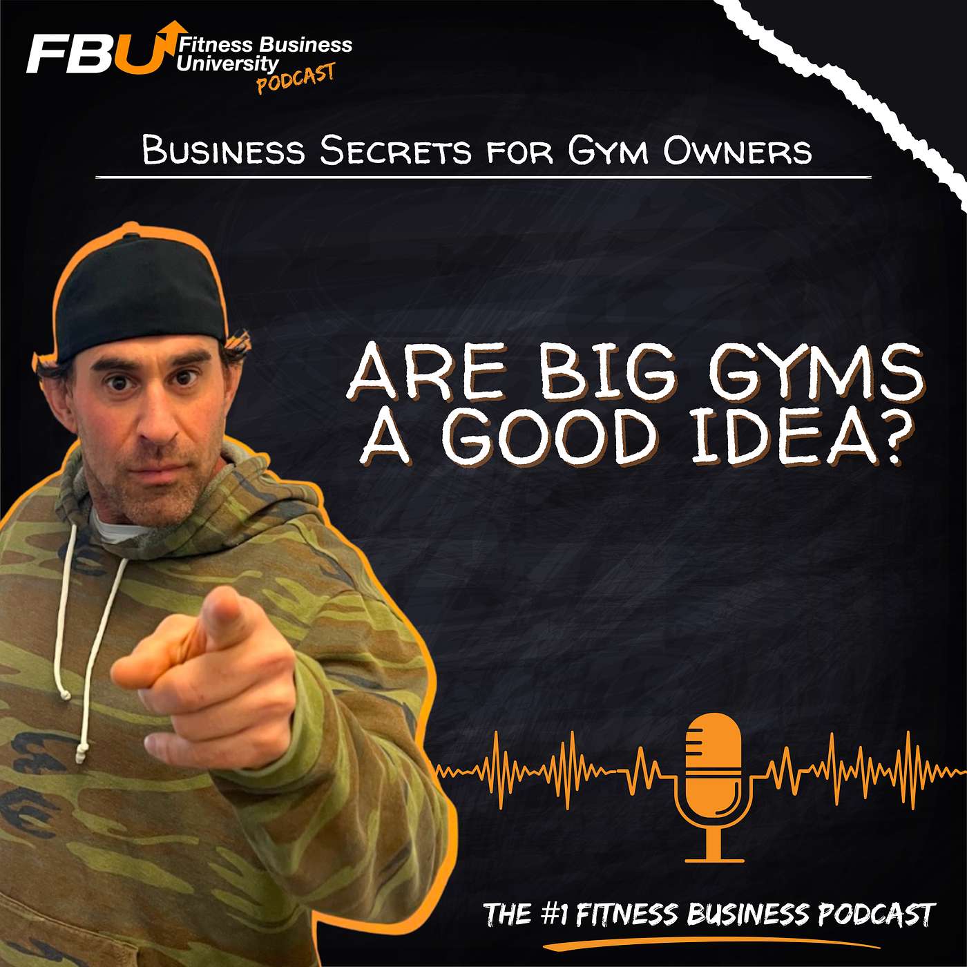 Are Big Gyms A Good Idea? Are Big Gyms A Good Idea?