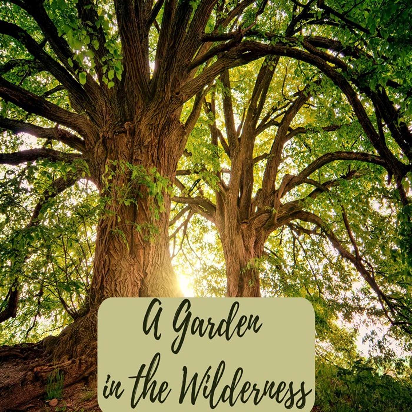 A Garden in the Wilderness