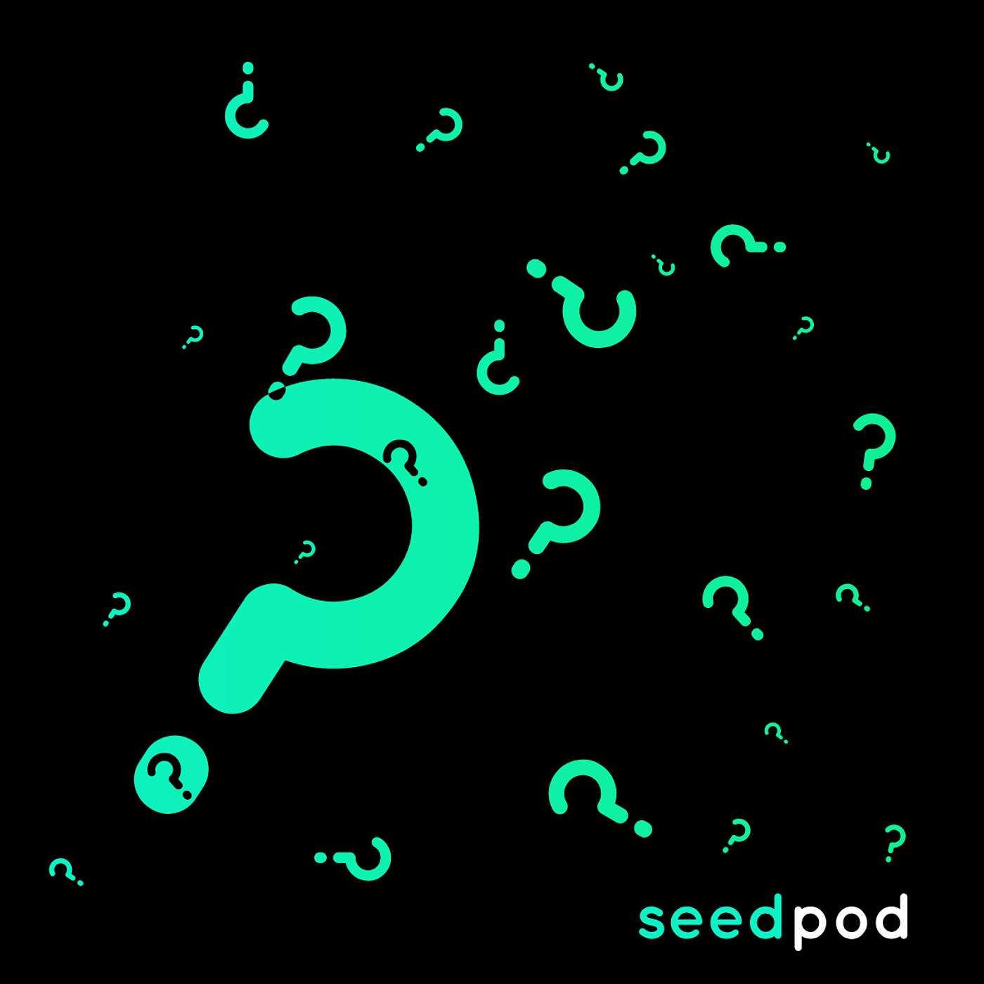 Seedpod
