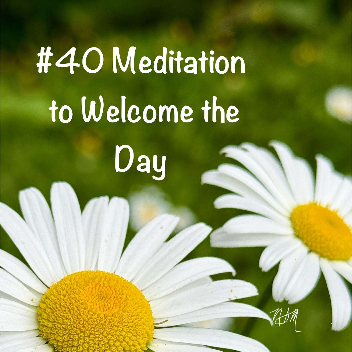 #40 - Welcome the Day (Meditation)
