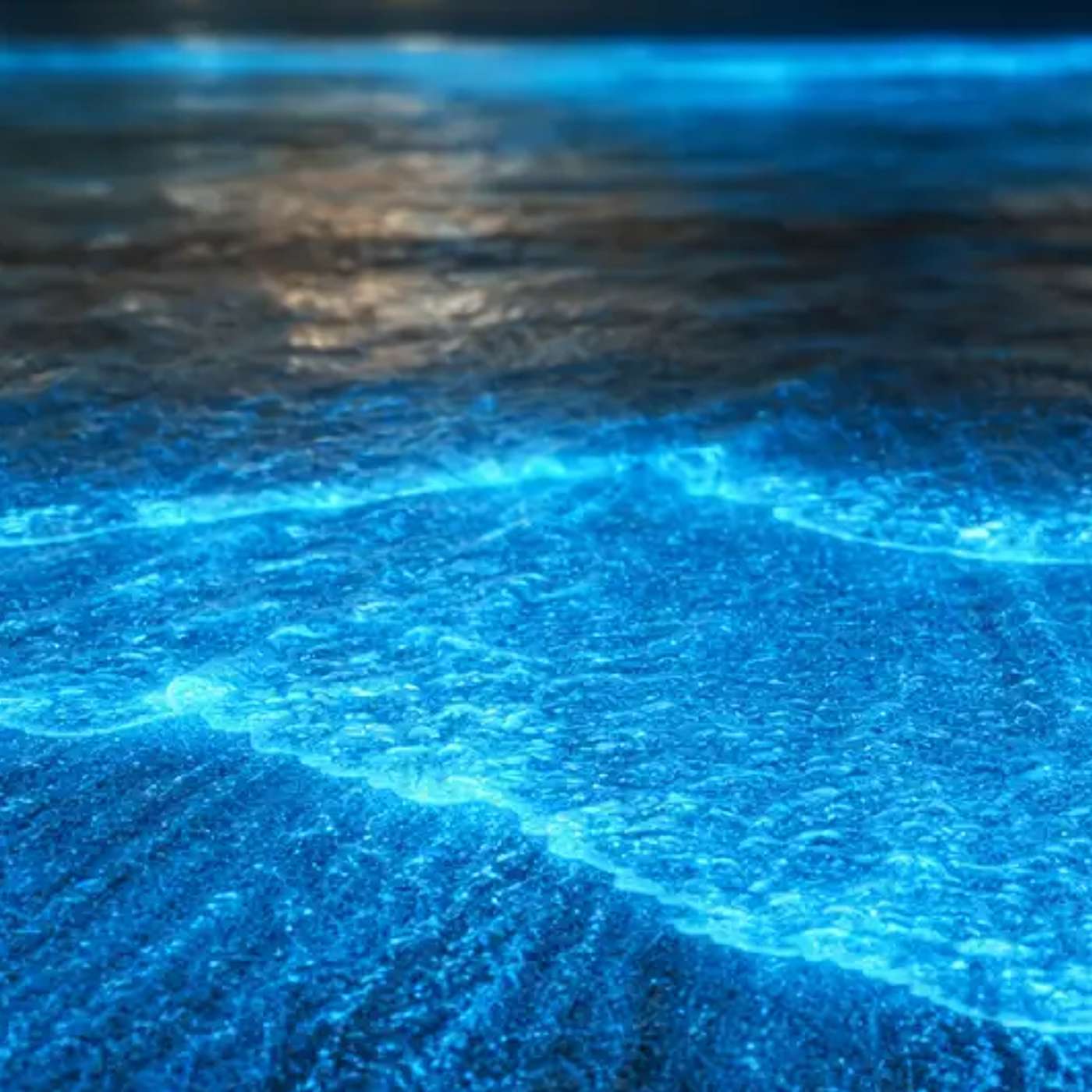 Mosquito Bay