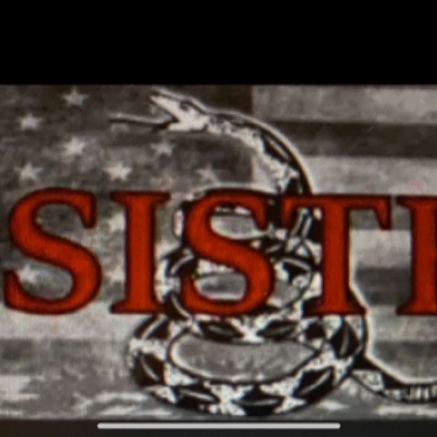 Resisters