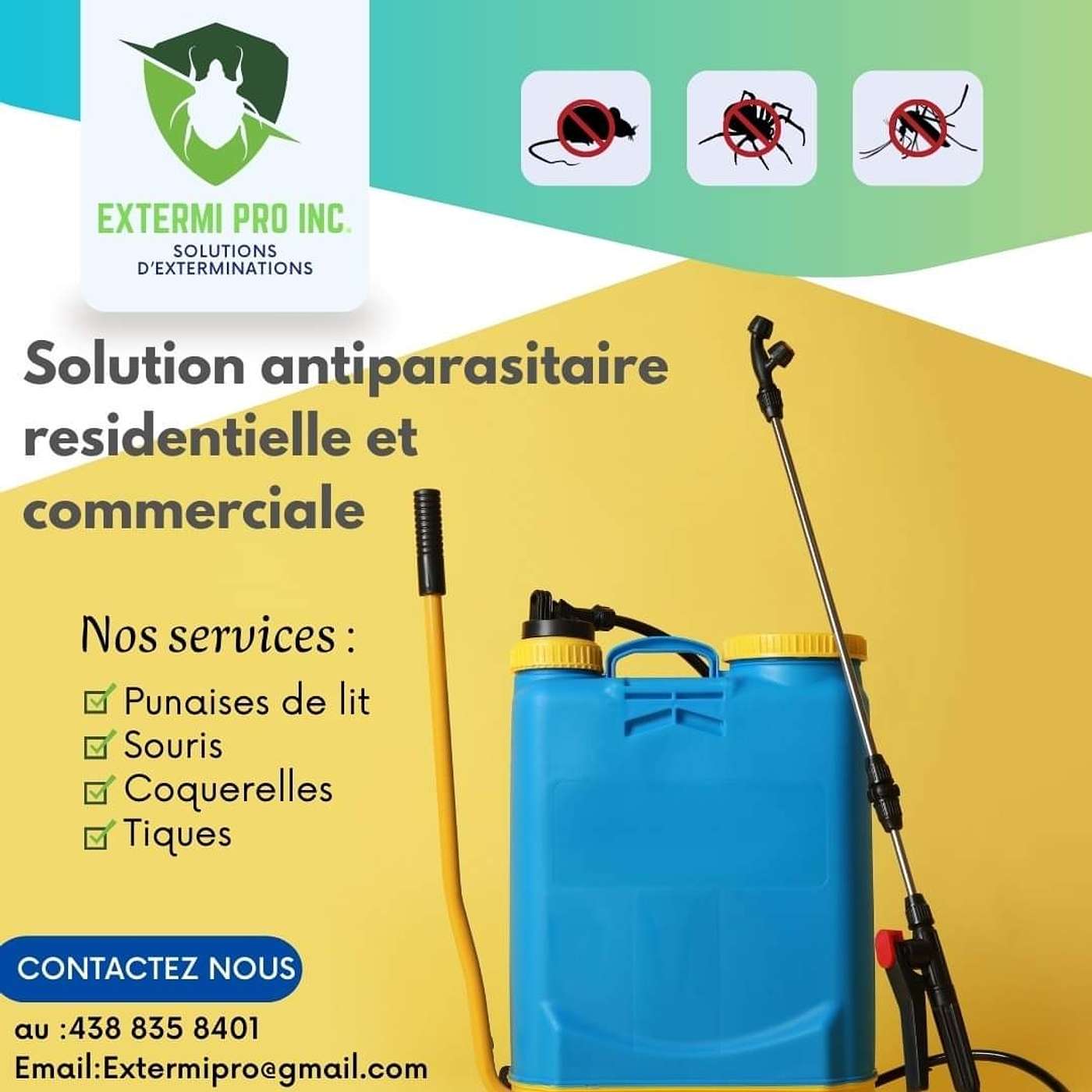 Exterminateur à Montréal : comprendre et éliminer les nuisibles durablement
