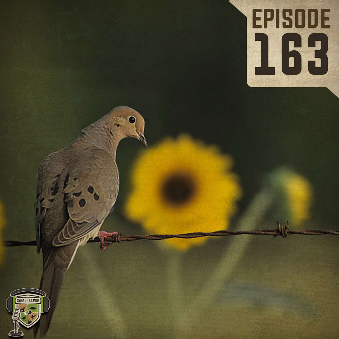 EP:163 | Successful Sunflowers (BONUS EPISODE)