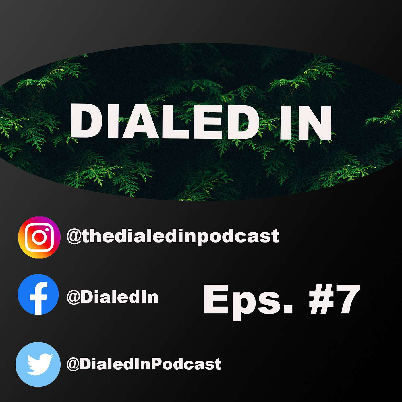 TheDialedInPodcast